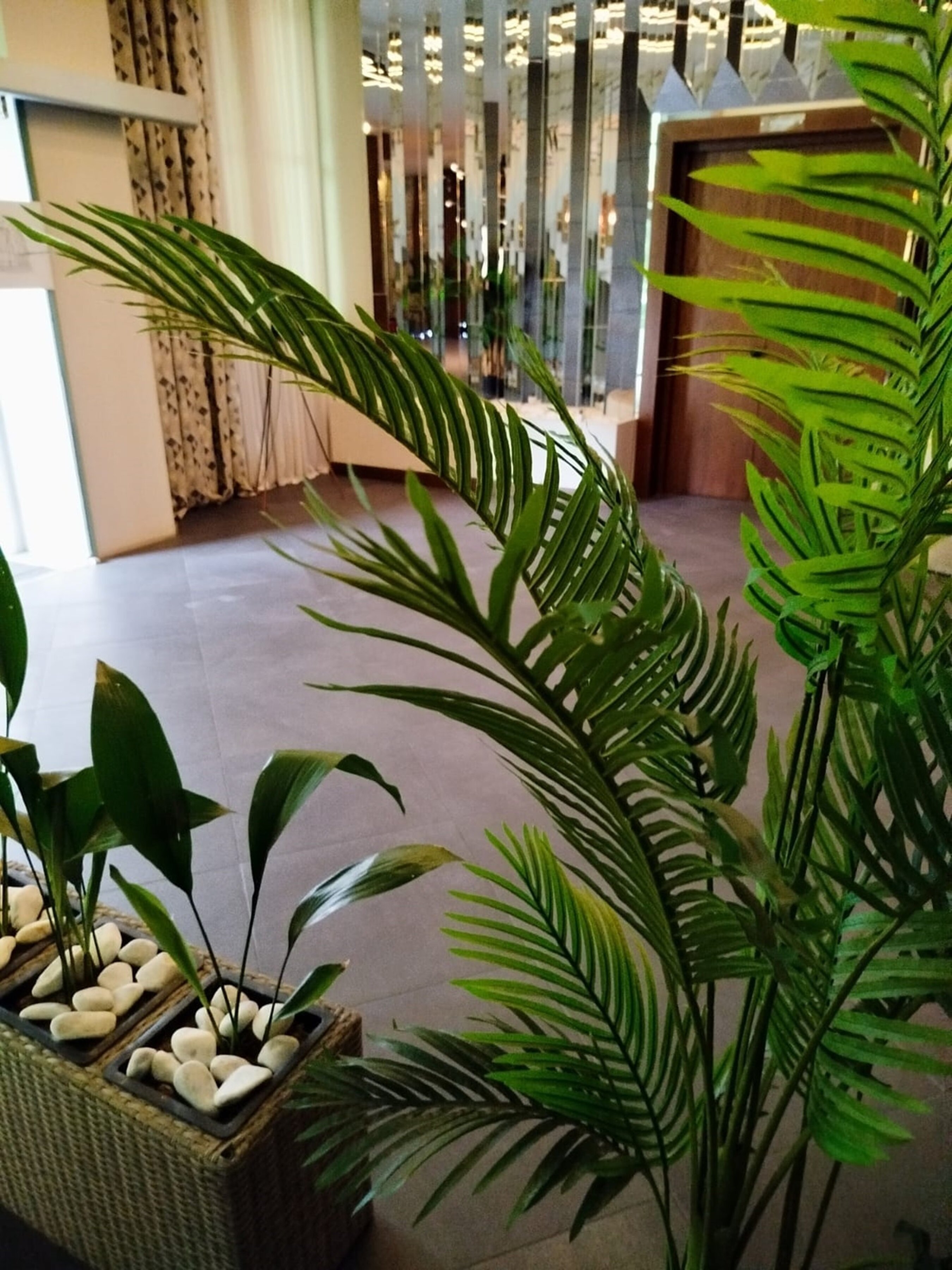 Фото Green Tower Hotel