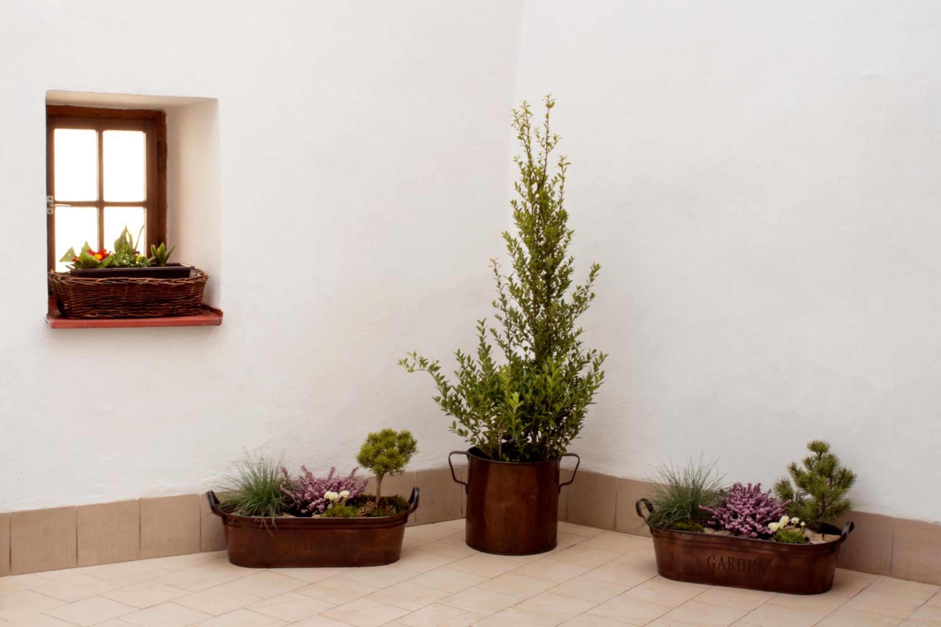 Фото Castle View Apartments