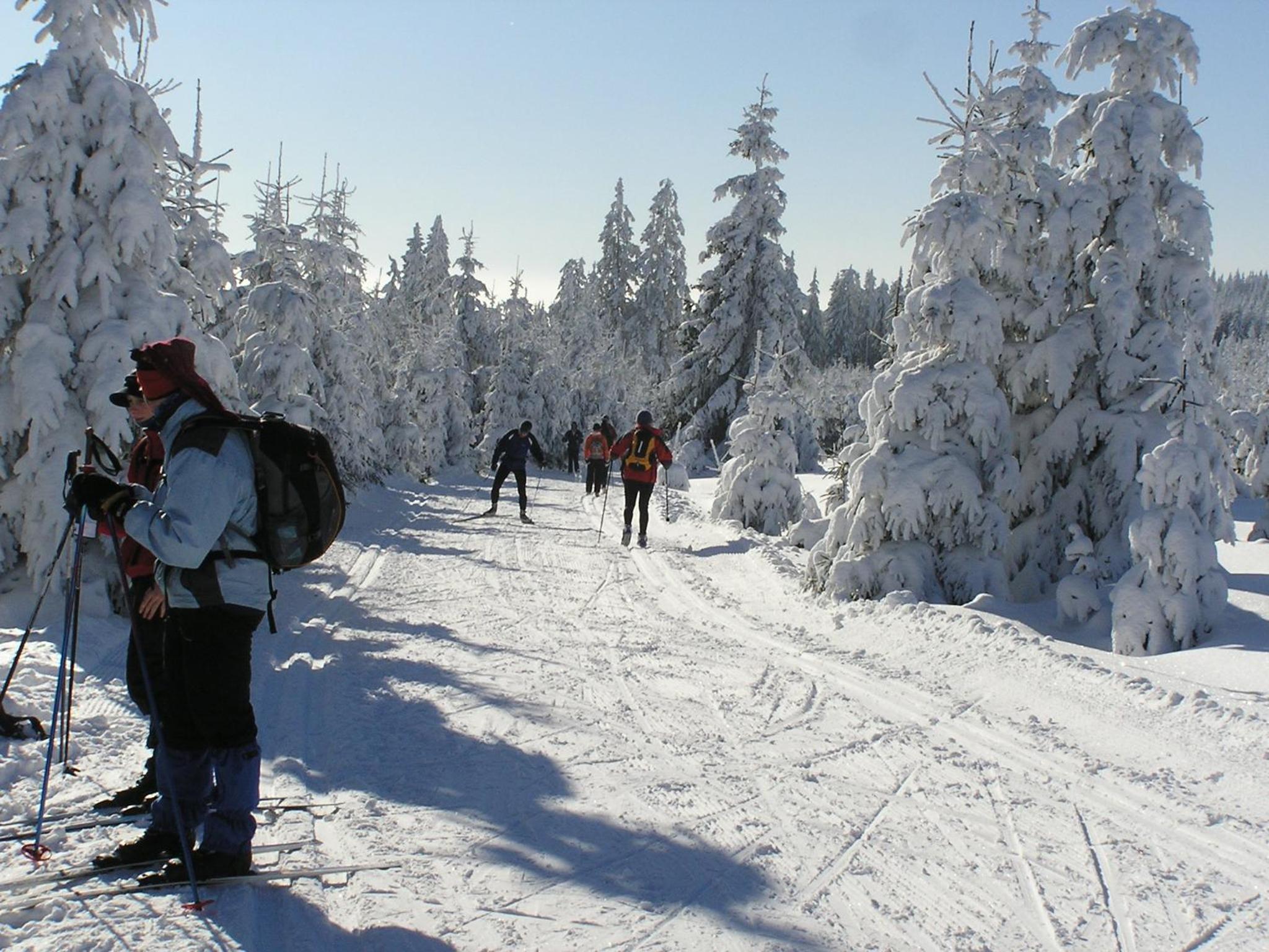 Фото Residence Romanza