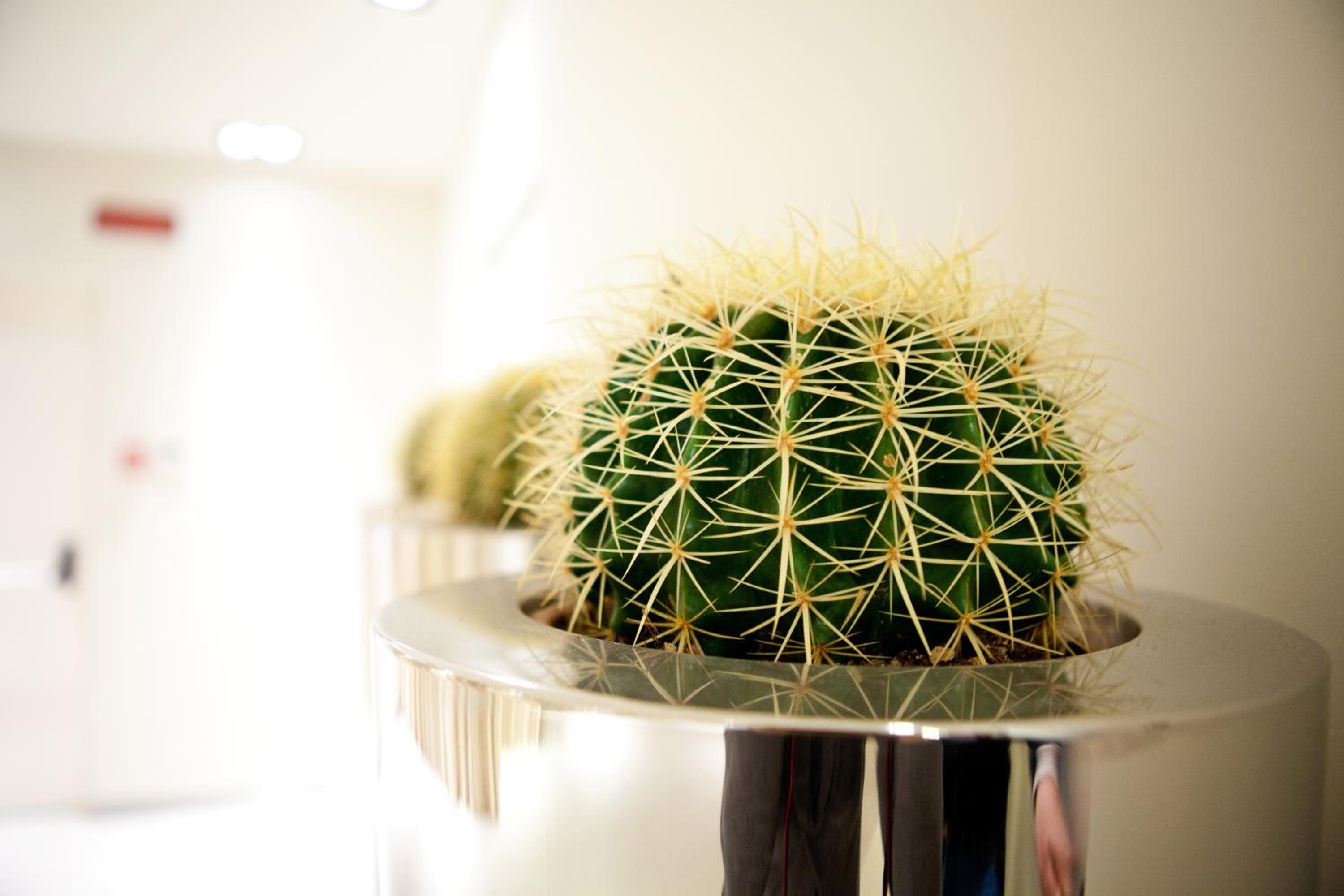 Фото Albergo Dei Laghi