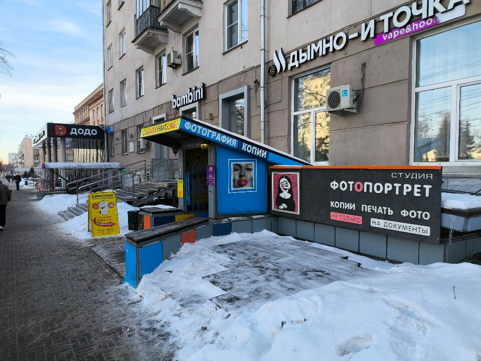 Telefonda yalangoch mushuk