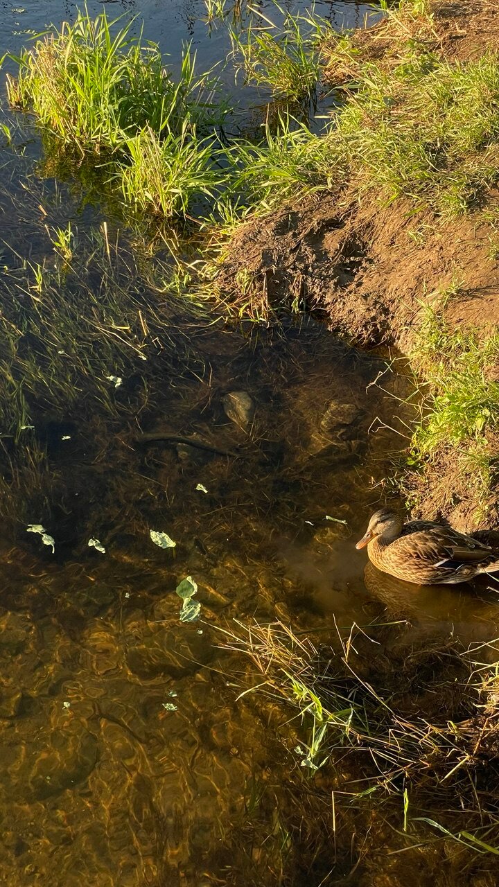 Фото 8 подушек