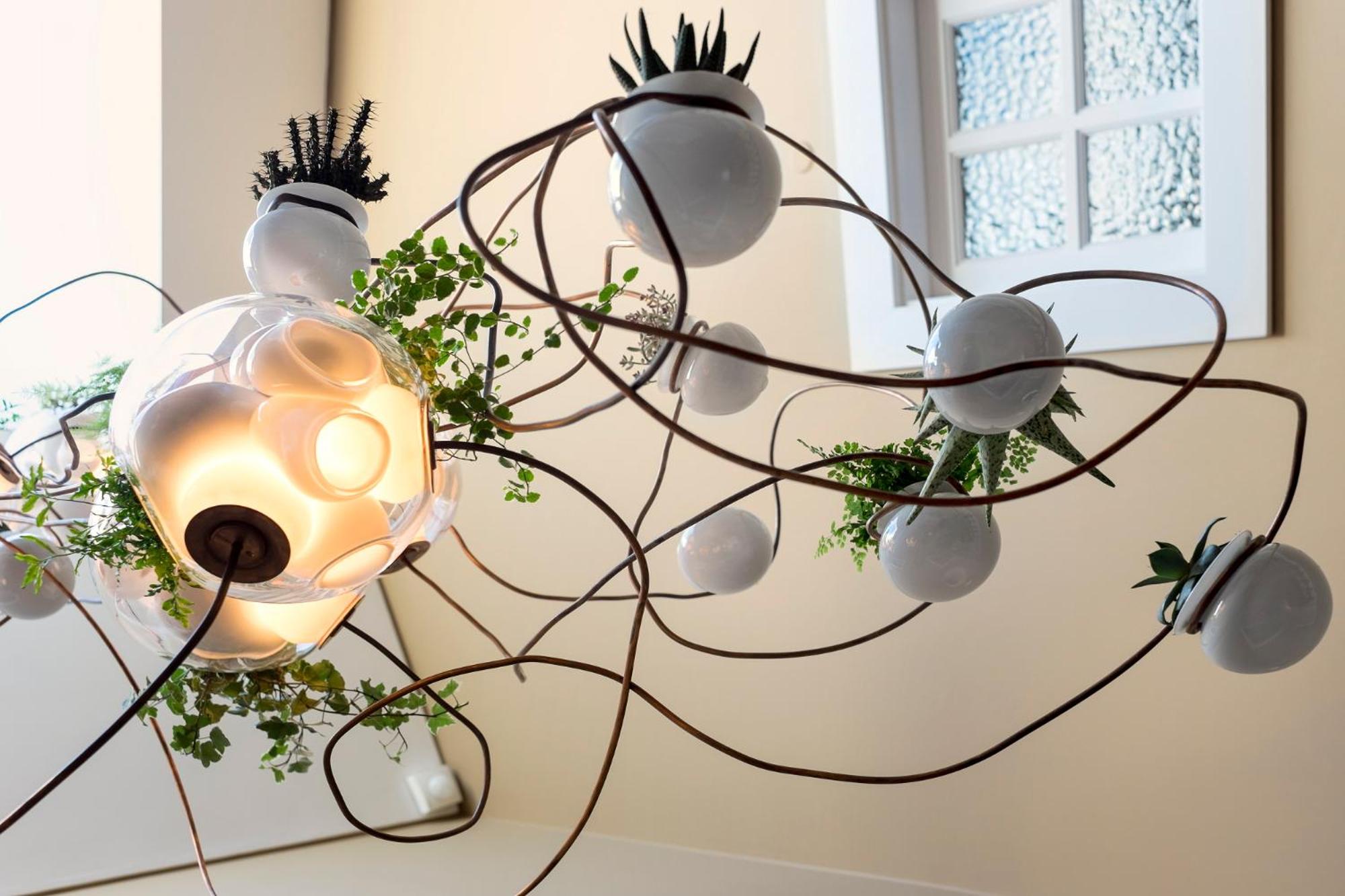 Фото Casa do Juncal