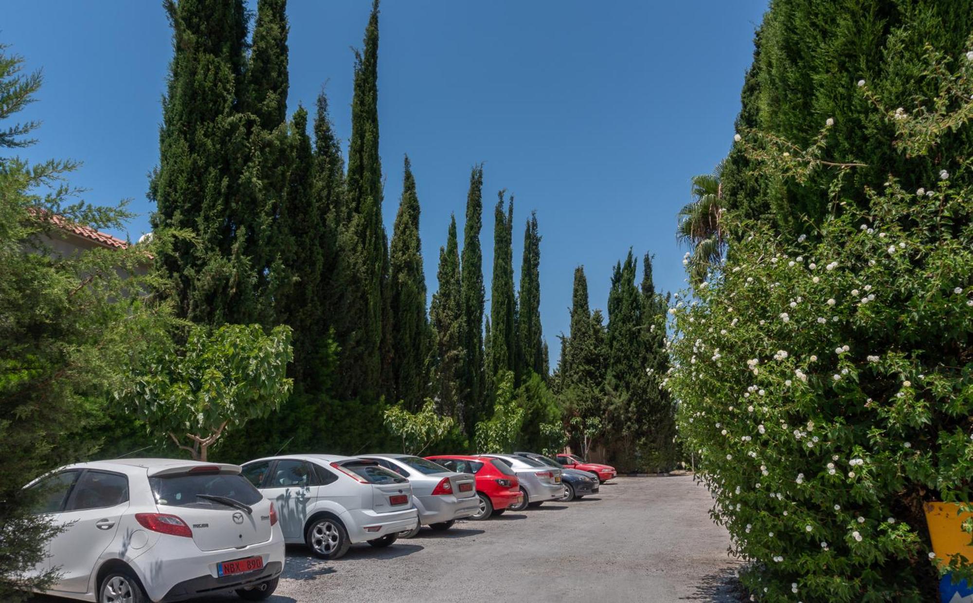 Фото Apollonia Holiday Apartments