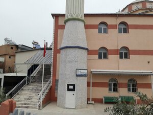 Ataturk Neighborhood Olive Grove Mosque (İzmir, Gaziemir, 1039 Sok., 53), mosque