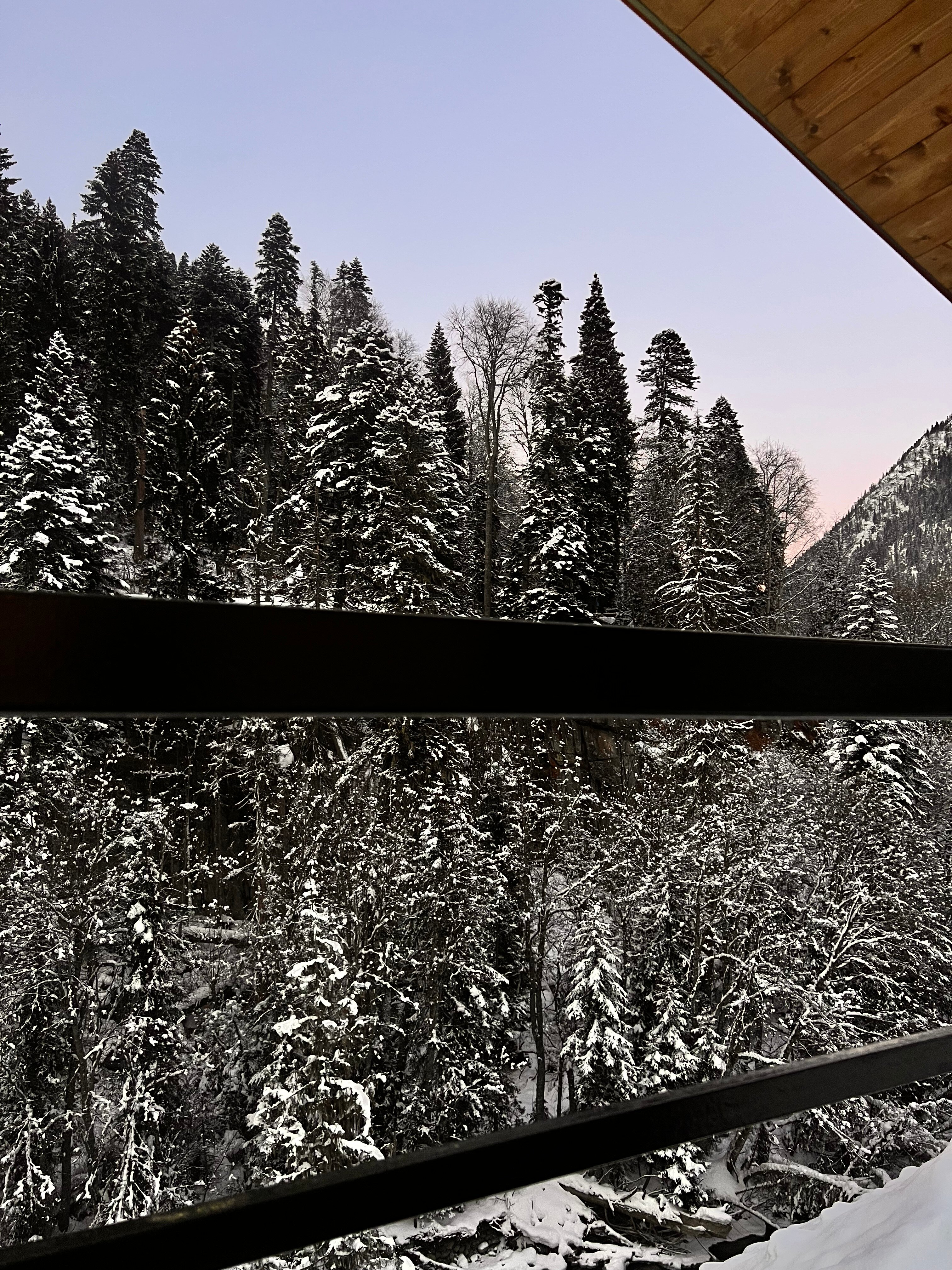 Фото Forest glamp