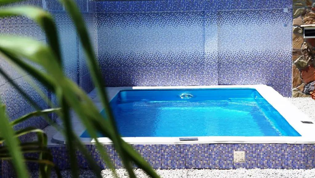 Фото Розмарин