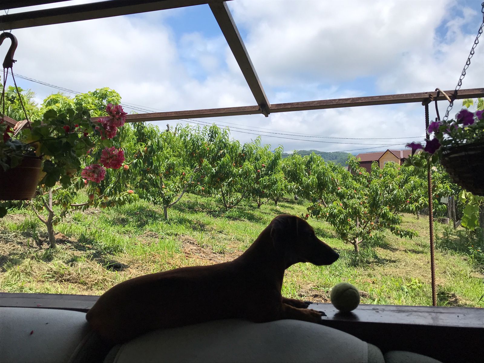 Фото Южный Вайб