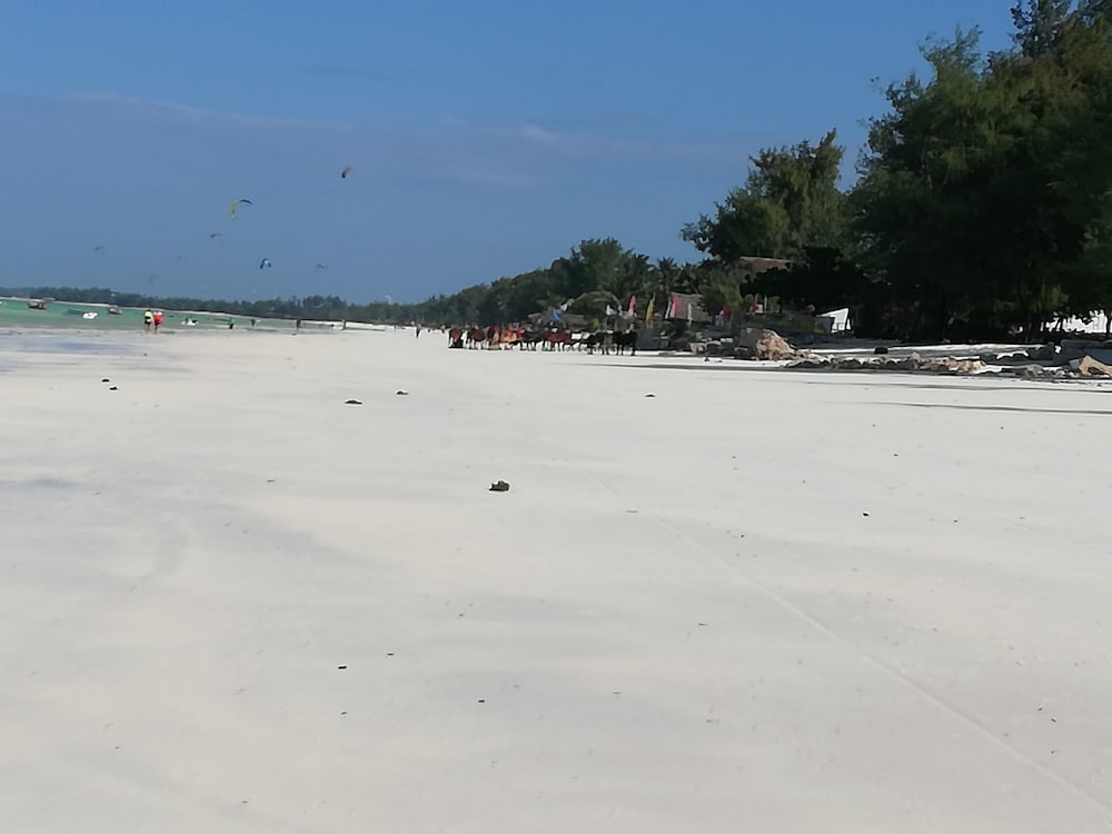 Фото Мини-отель Paje joschS