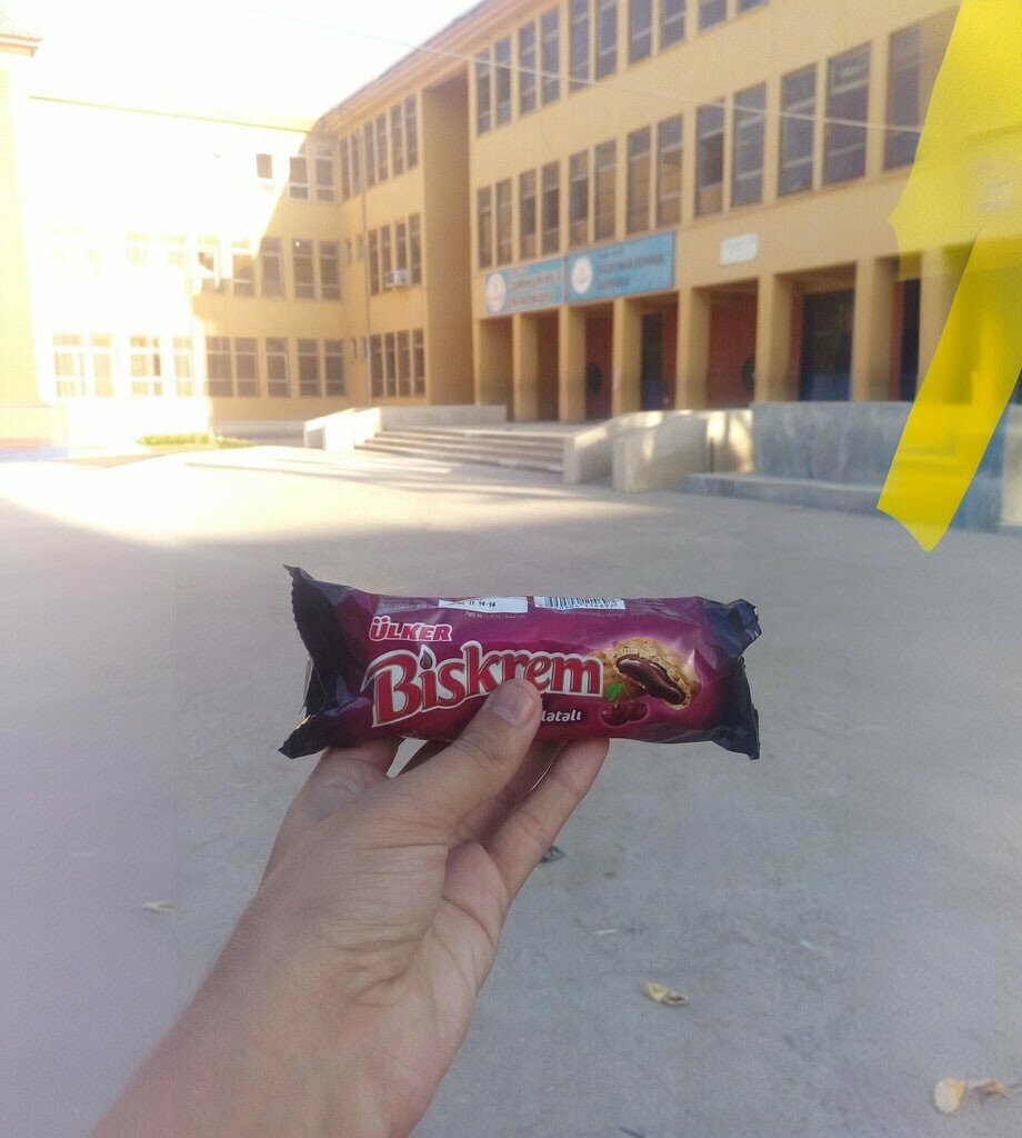 Primary school Suleyman Demirel Primary School, Silopi, photo