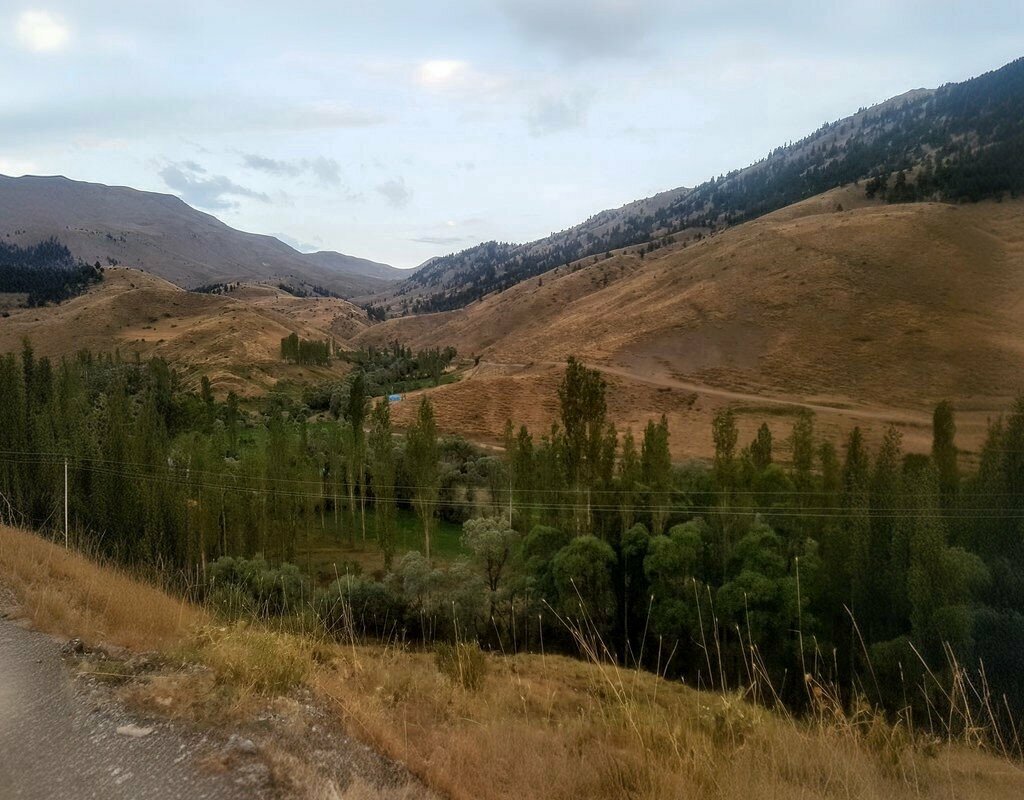 Primary school Sarıkaya Primary School, Develi, photo