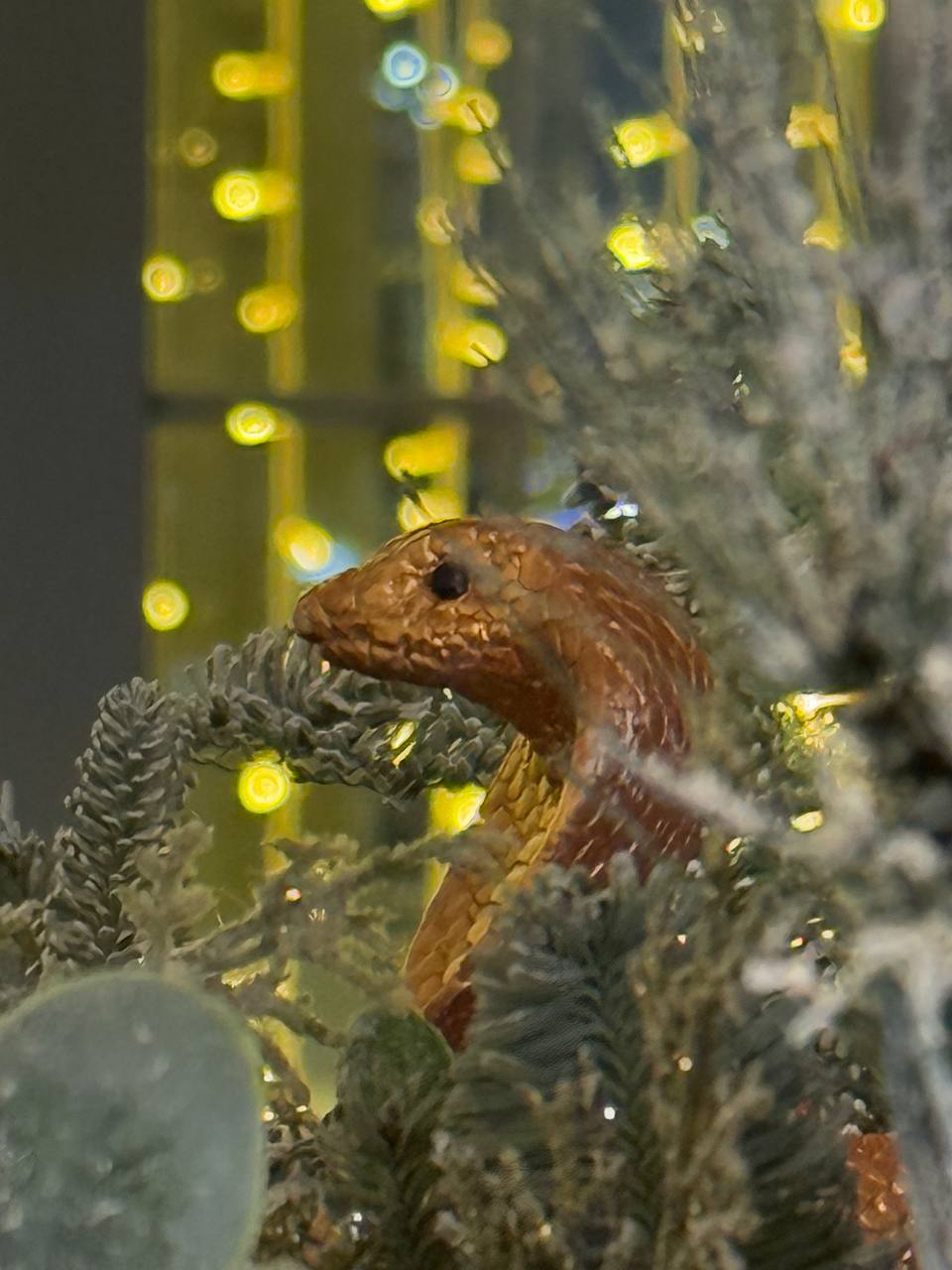 Фото Ивановоотель