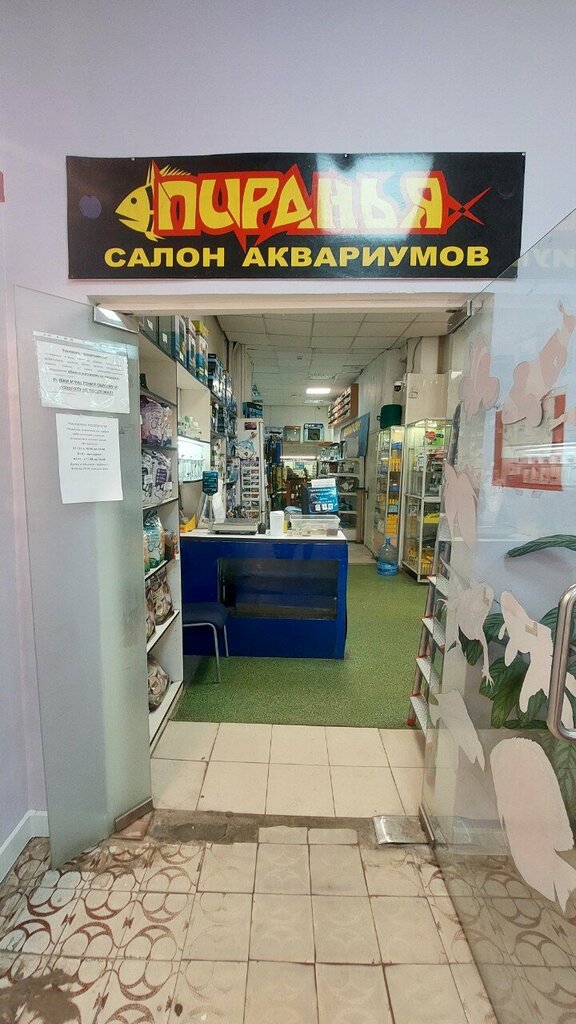 أحواض السمك Salon akvariumov Piranya ، ، صورة
