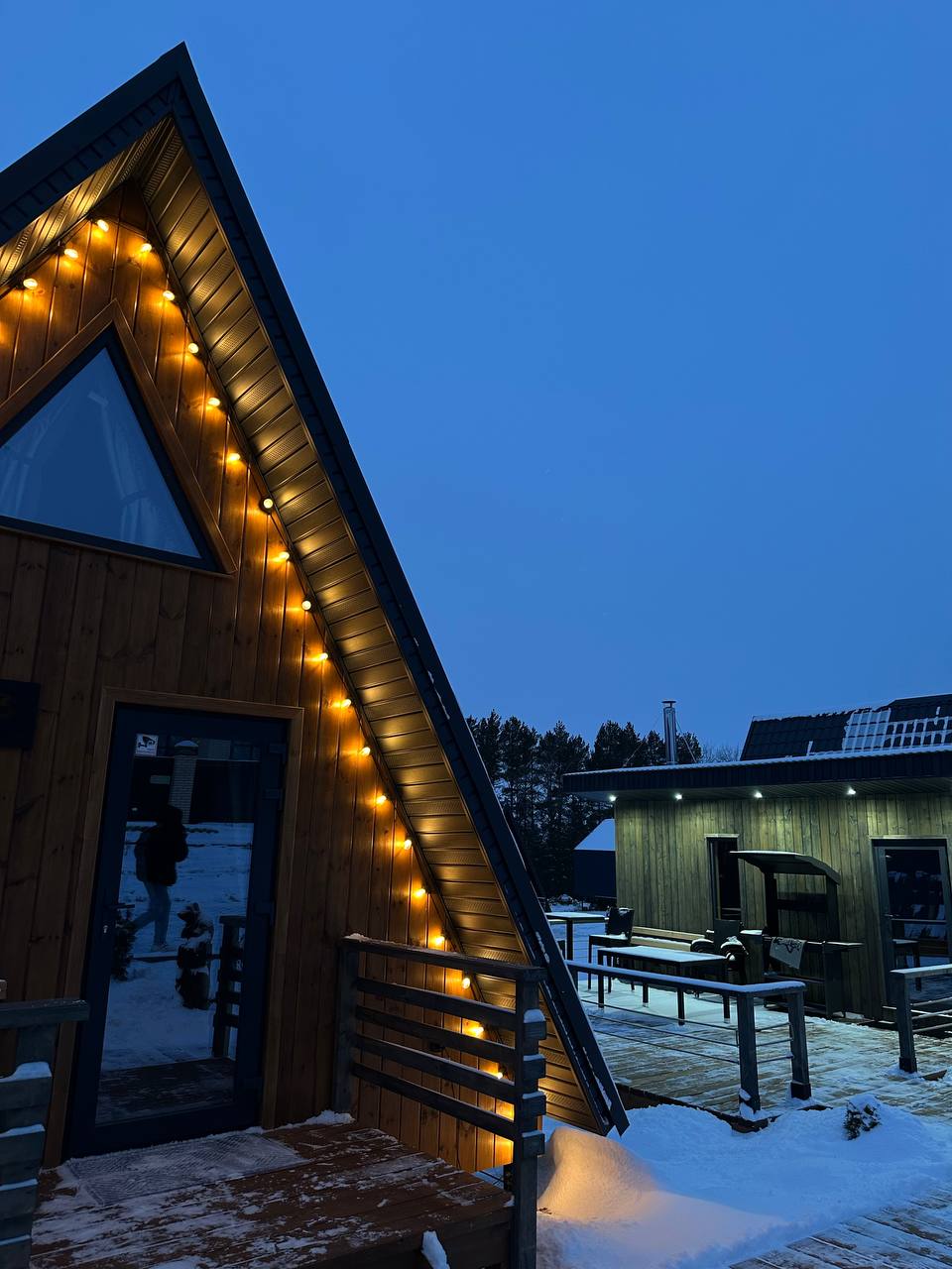 Фото Караси