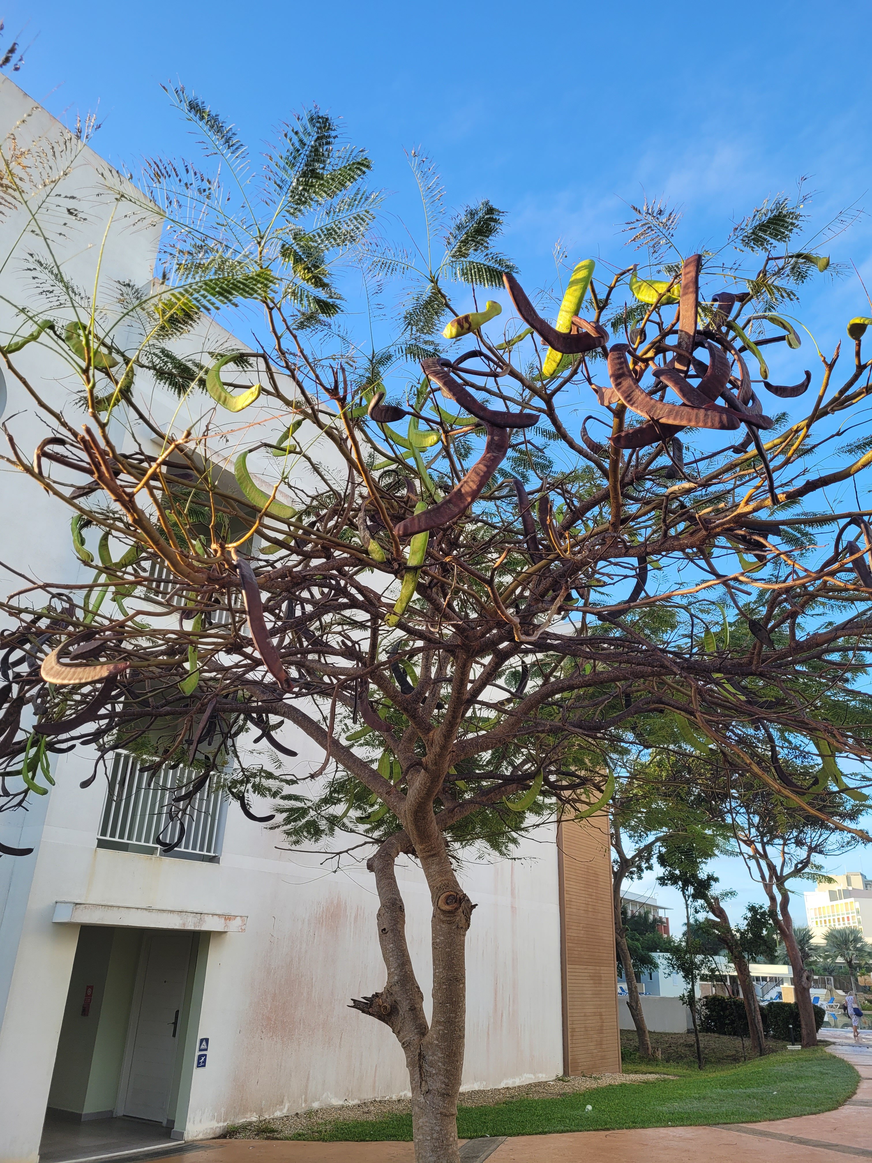 Фото Hotel Playa Vista Azul