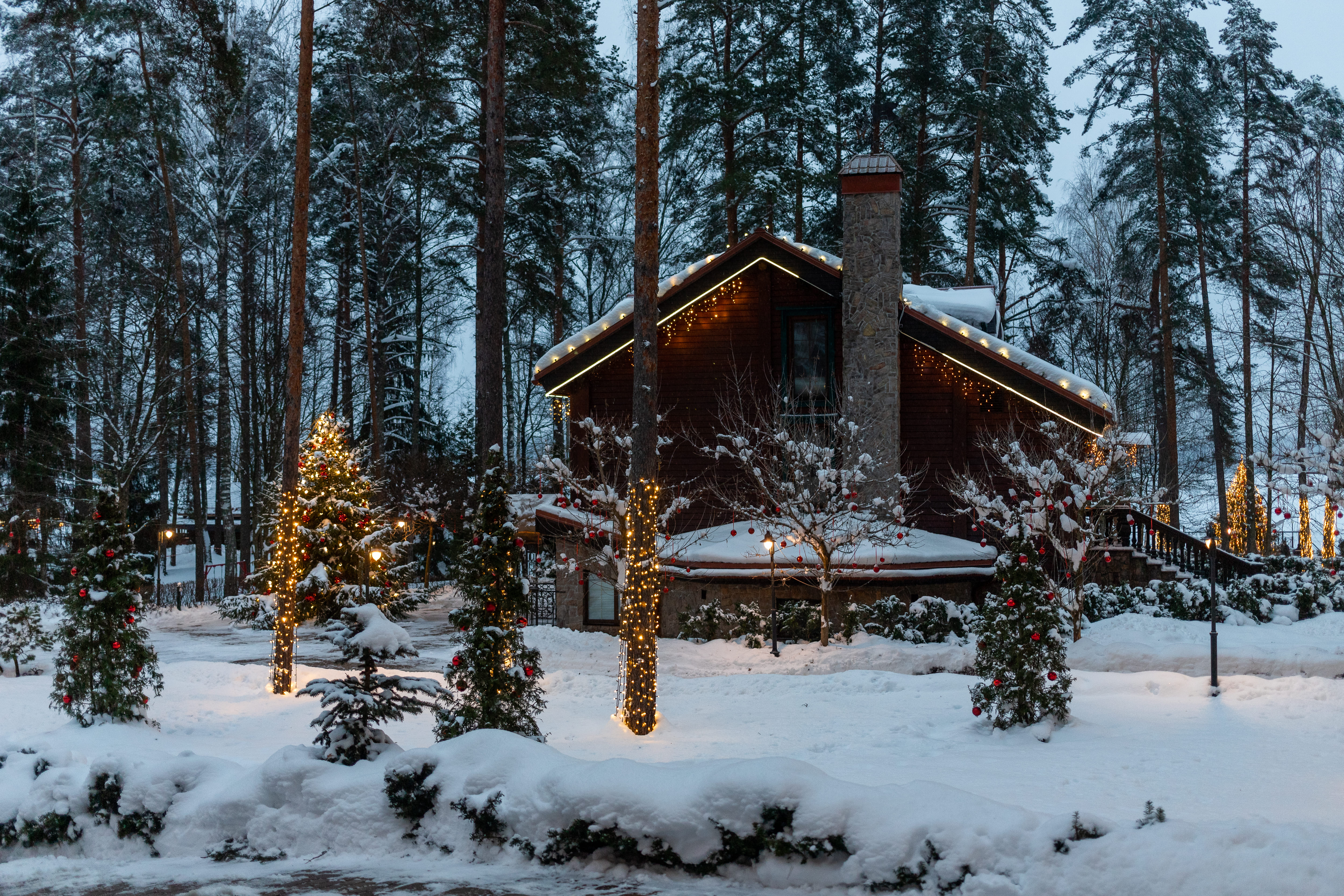 Фото Красный Бор