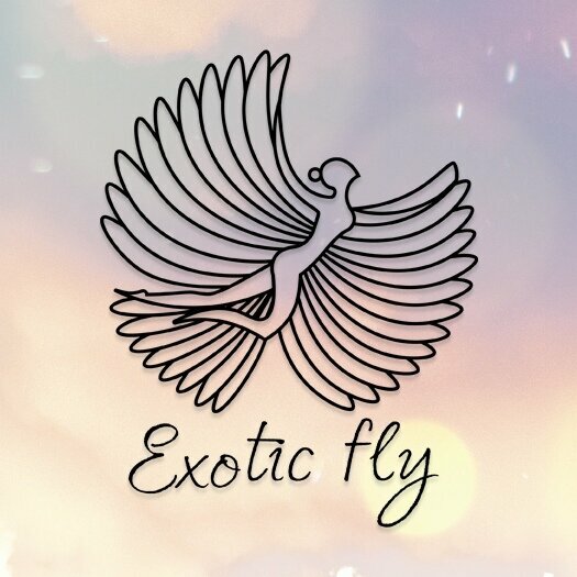 Exotic Fly