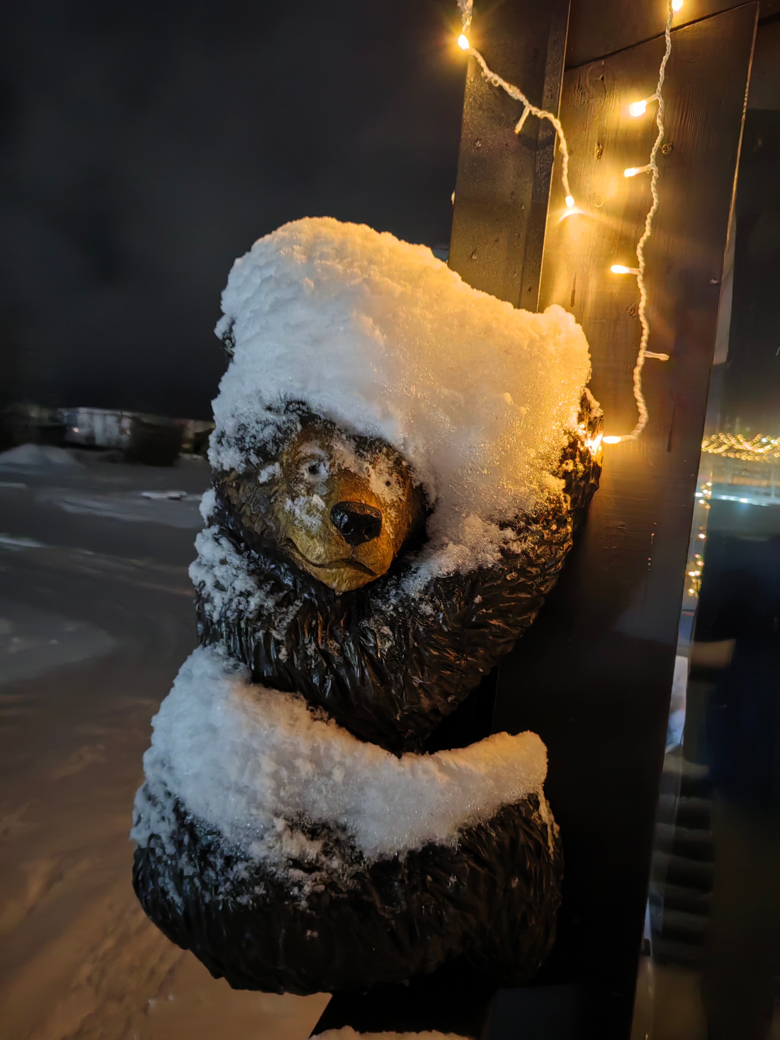 Фото Мишка на прудах