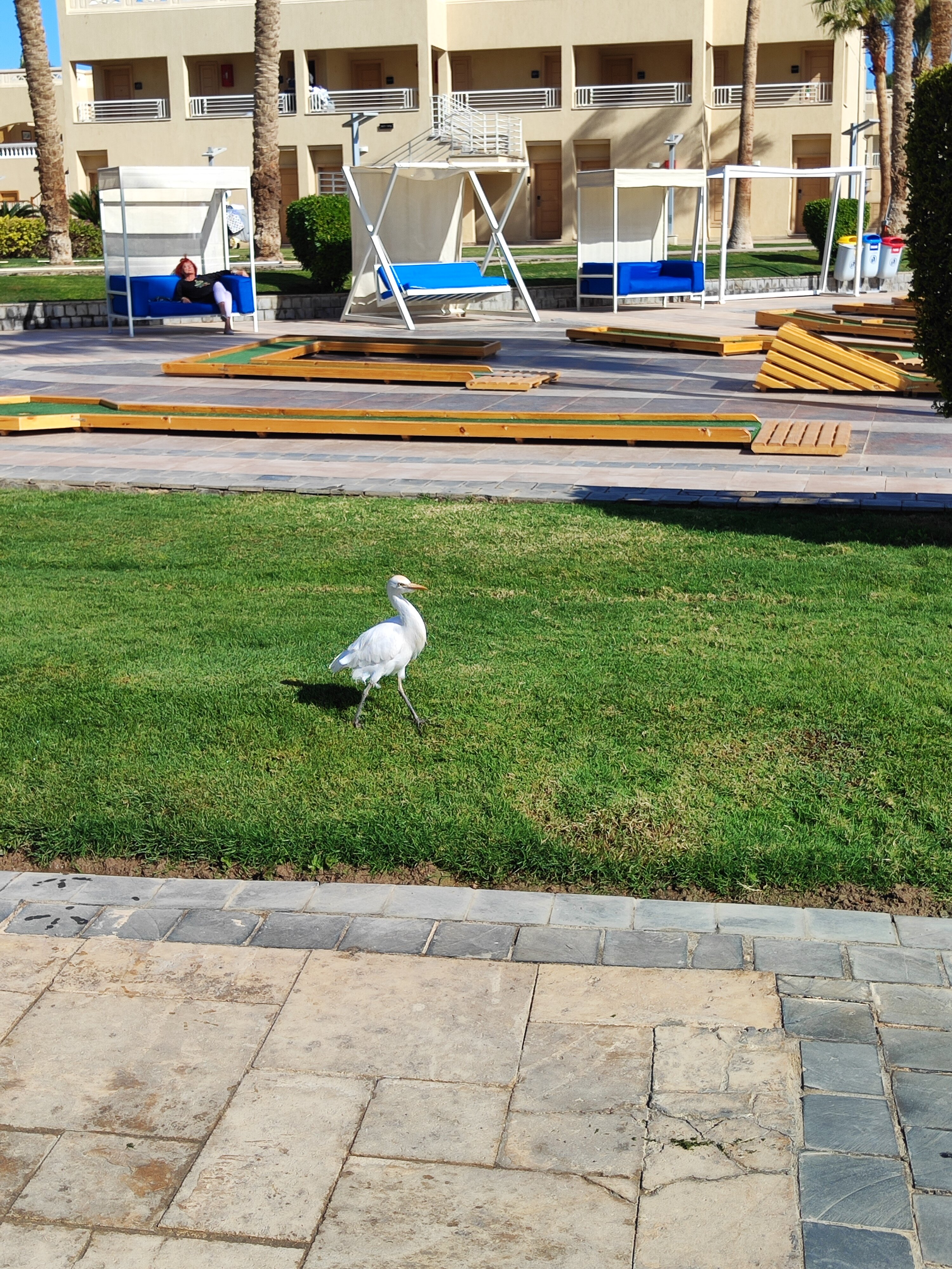 Фото Бич Альбатрос Резорт