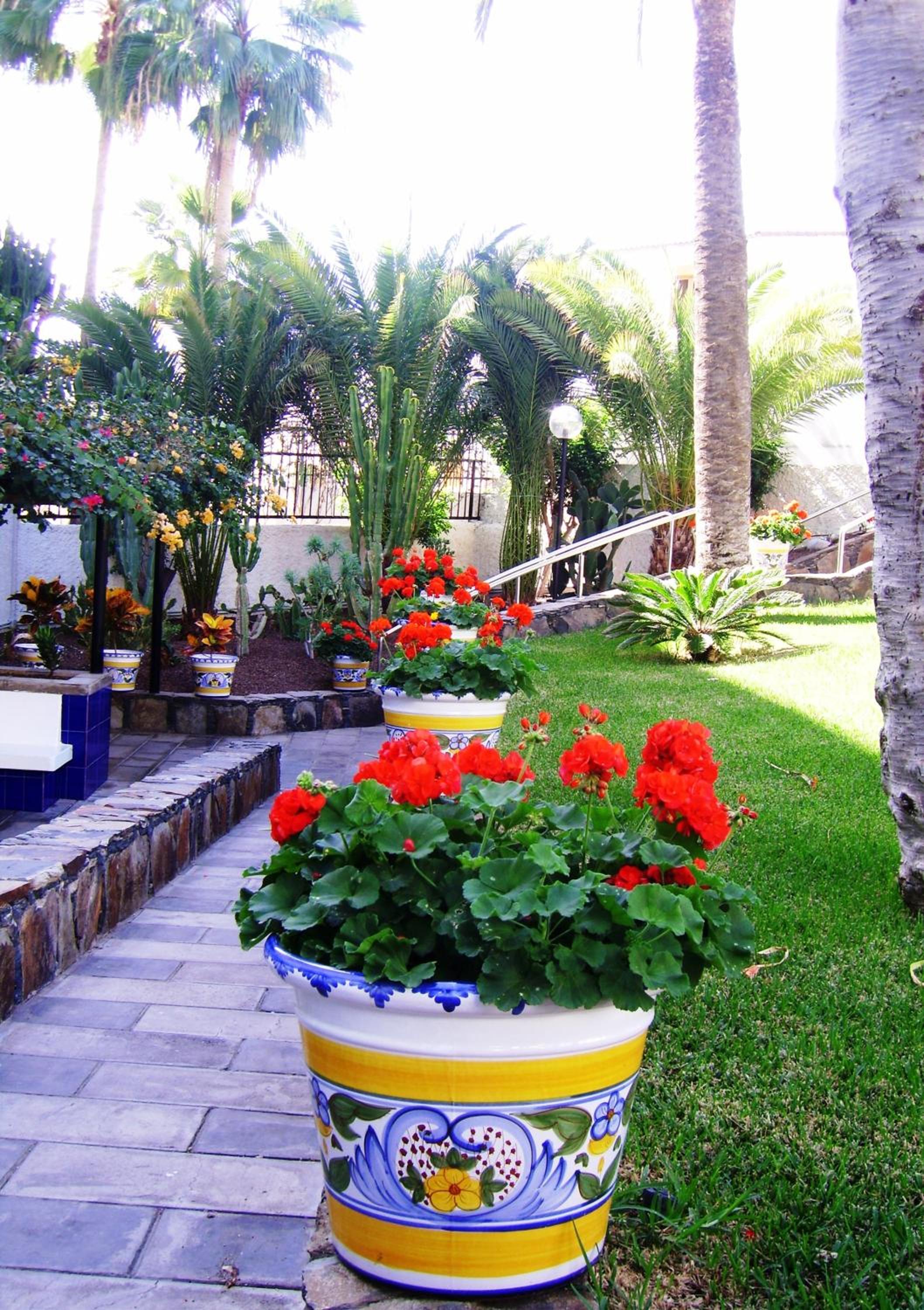 Фото Apartamentos Tamaragua