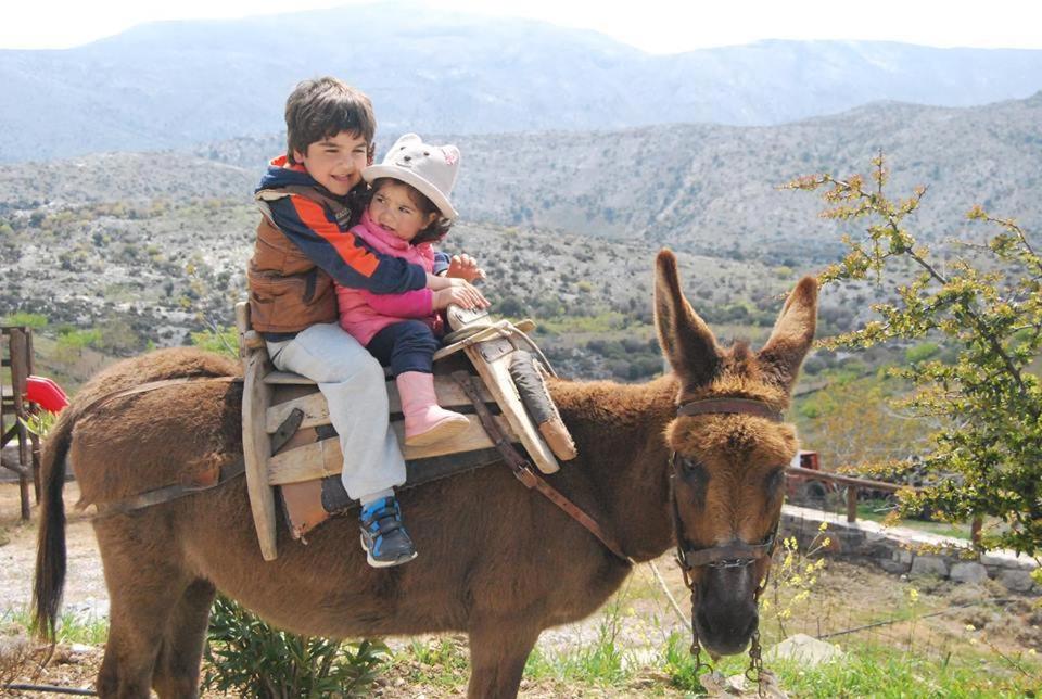 Фото Arodamos Traditional Houses