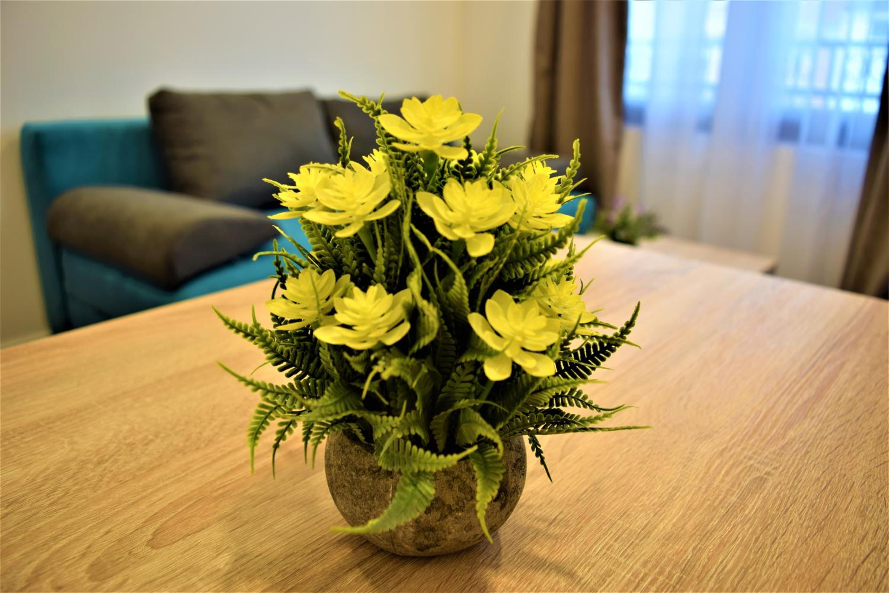 Фото Martinovic Rooms