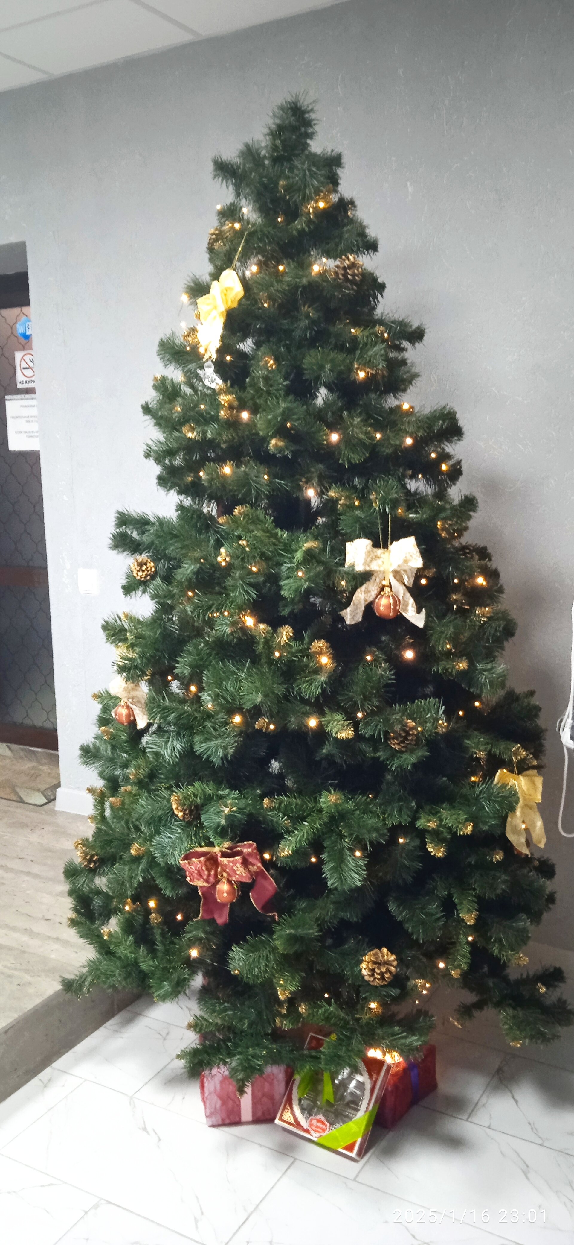 Фото Мв София