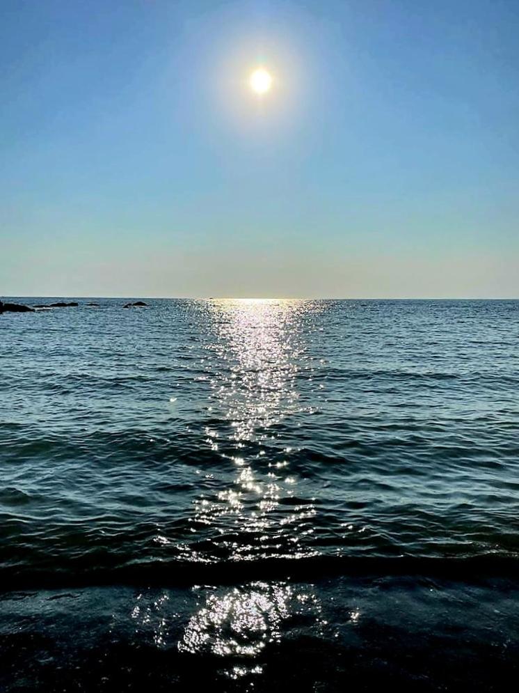 Фото Georgia Apartments