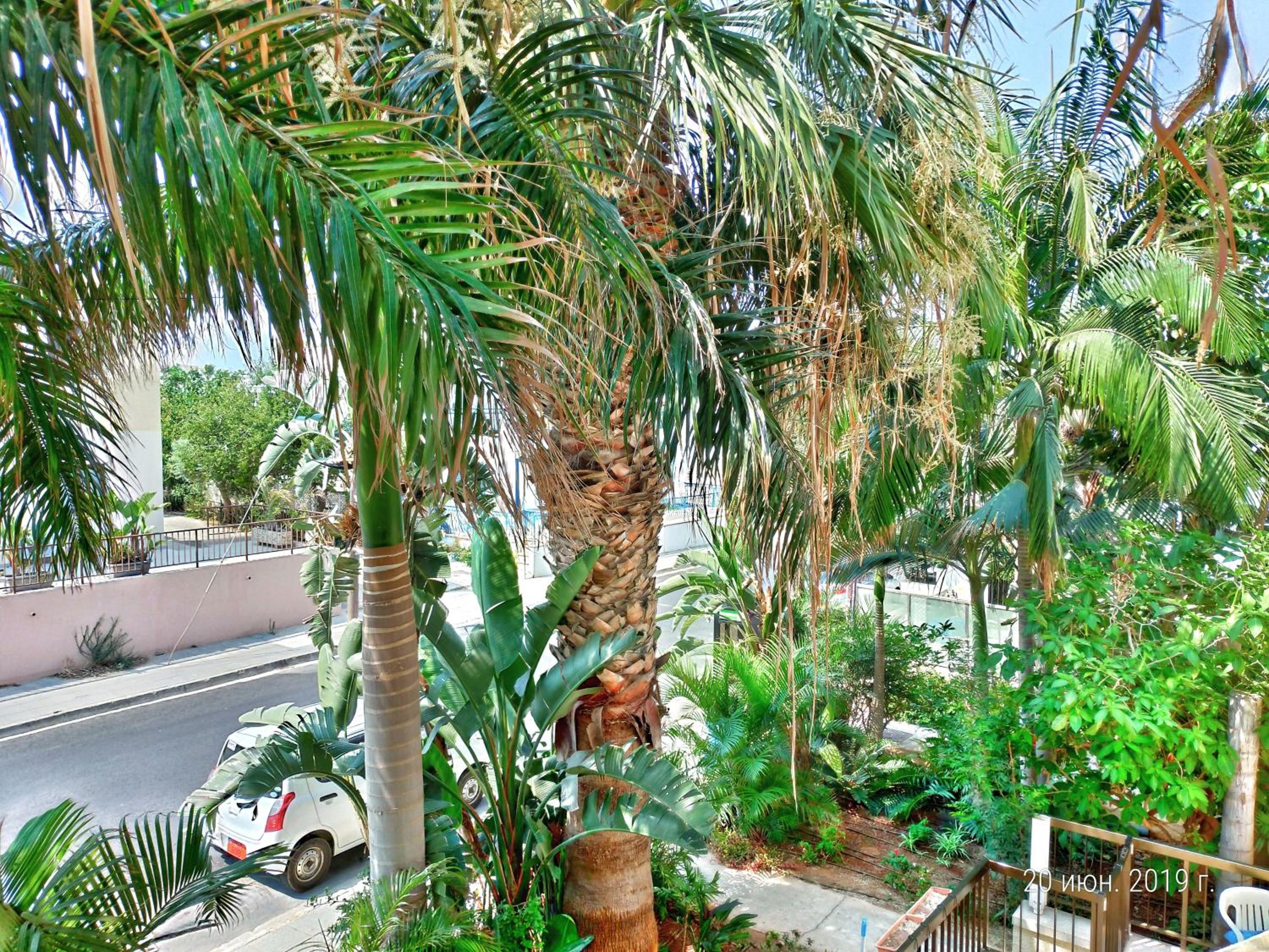 Фото Constantaras Apartments