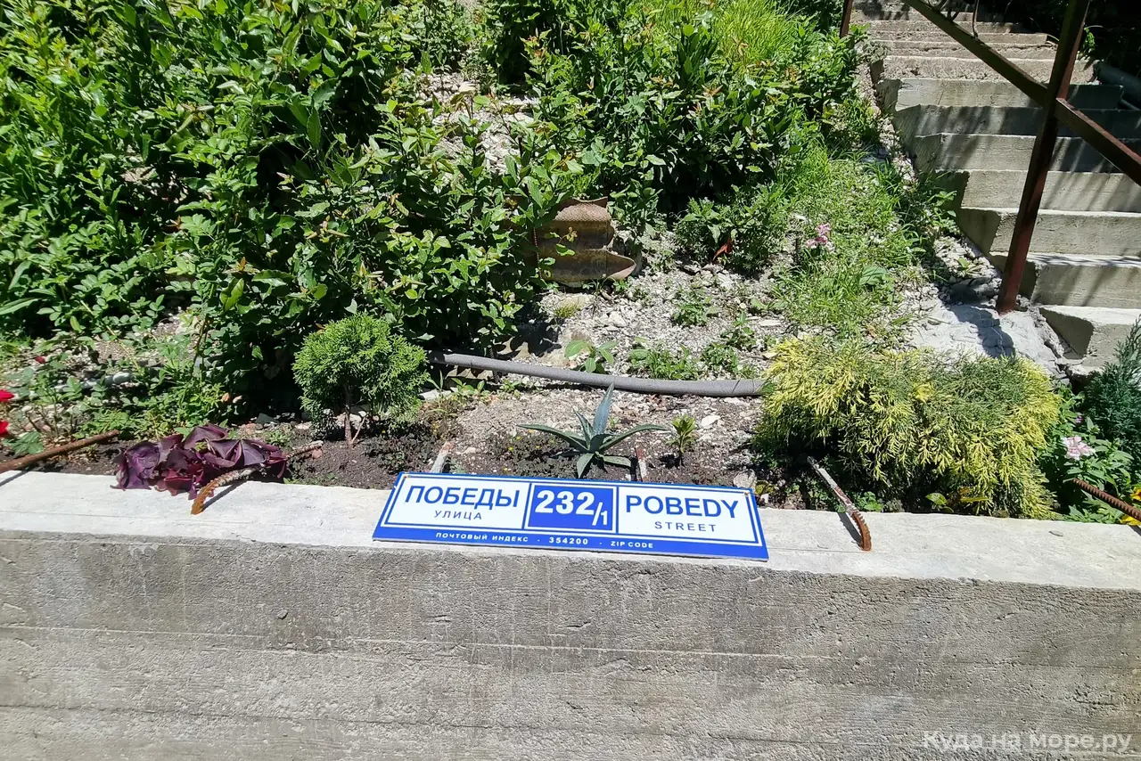 Фото Фундук