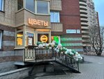 Монстера (Leninskiy Avenue, 77к1), flower shop