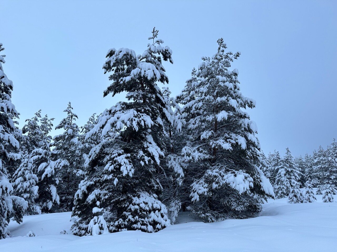 Фото Aparan Park