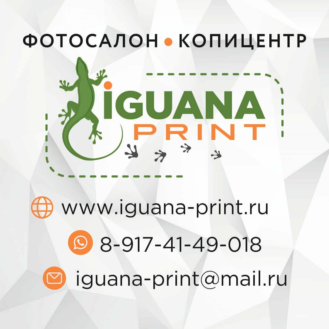 Игуана Принт