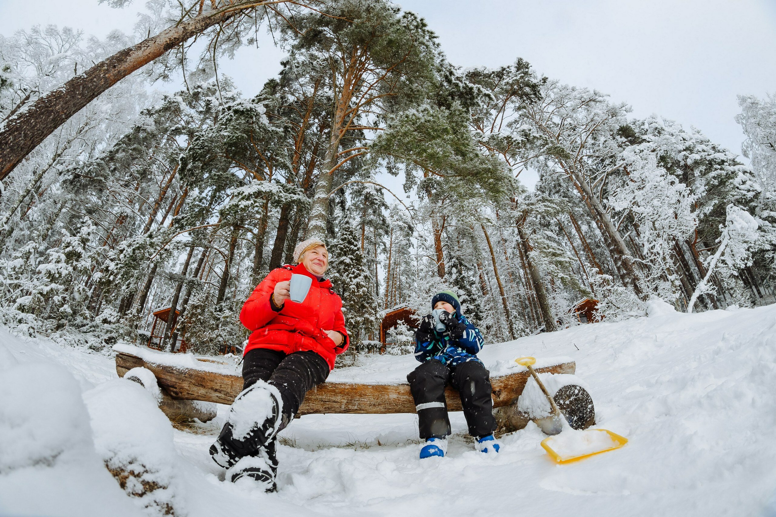 Фото Велино
