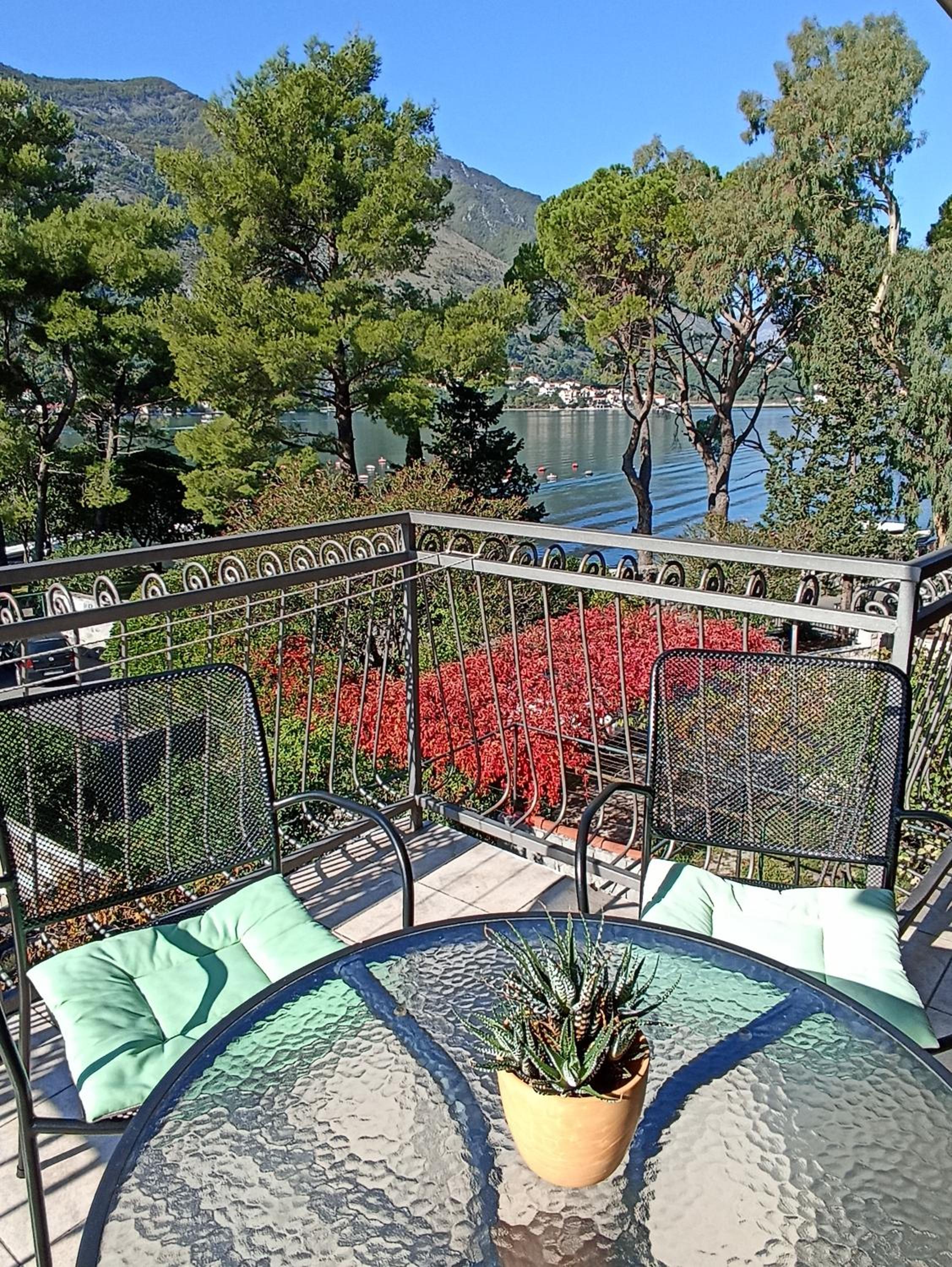 Фото Apartments Vojvoda