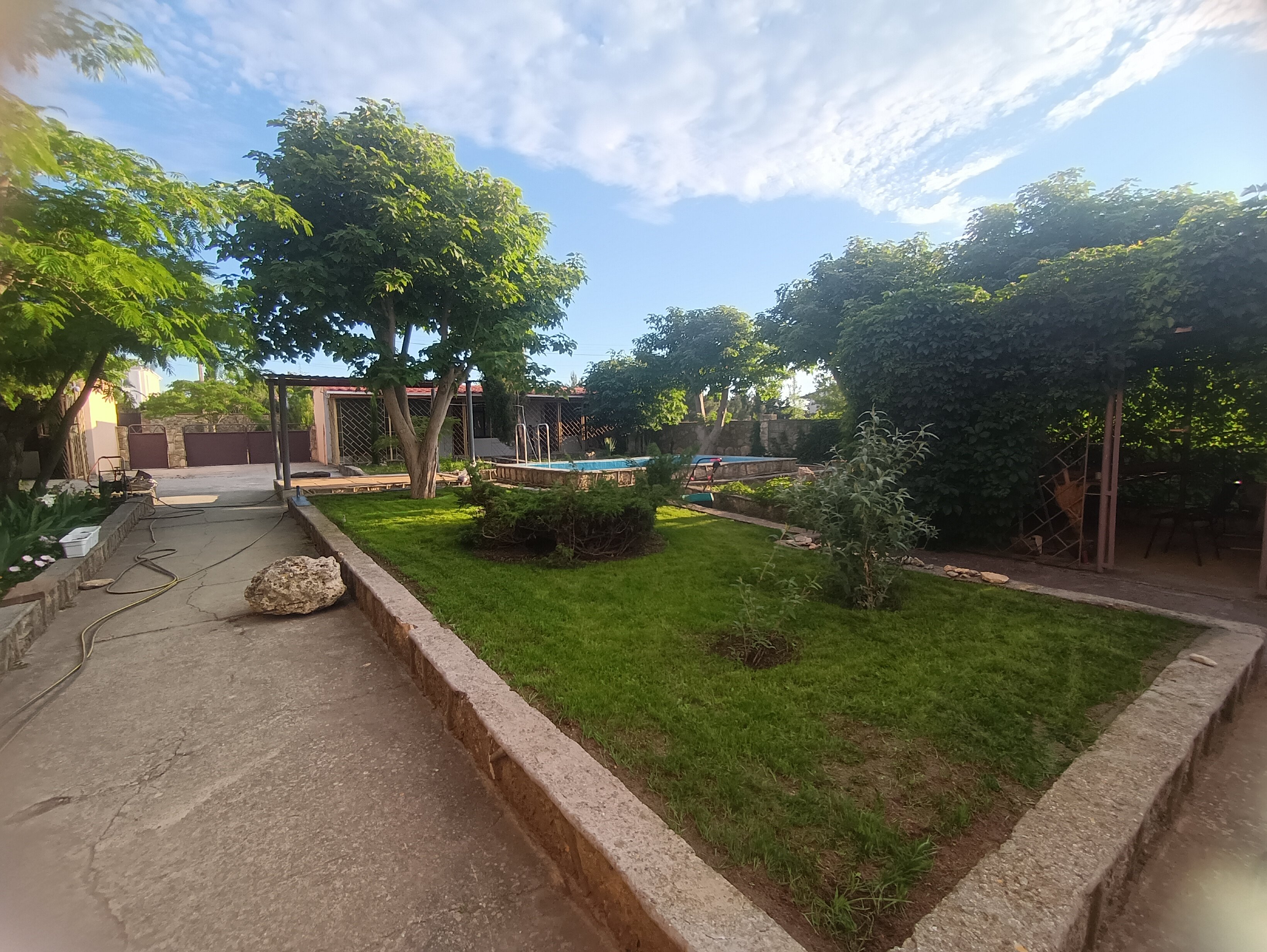 Фото Катран