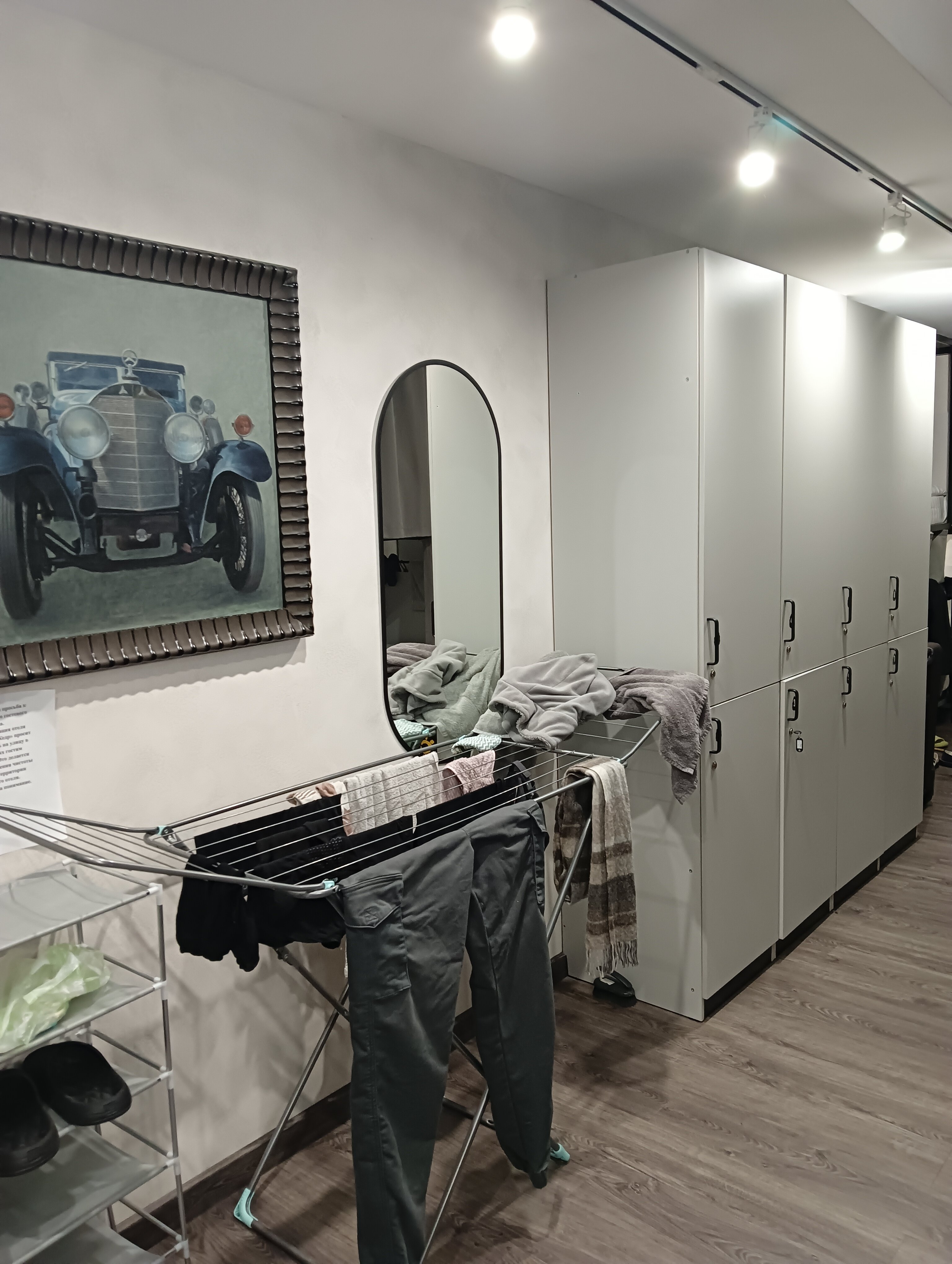 Фото Иркутский кедр