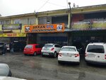 Akkan Auto (Istanbul, Umraniye, Alemdag Avenue, 177B), auto electrics repair