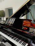 ПианоЛайв (Marshala Vasilevskogo Street, 1к1), music school