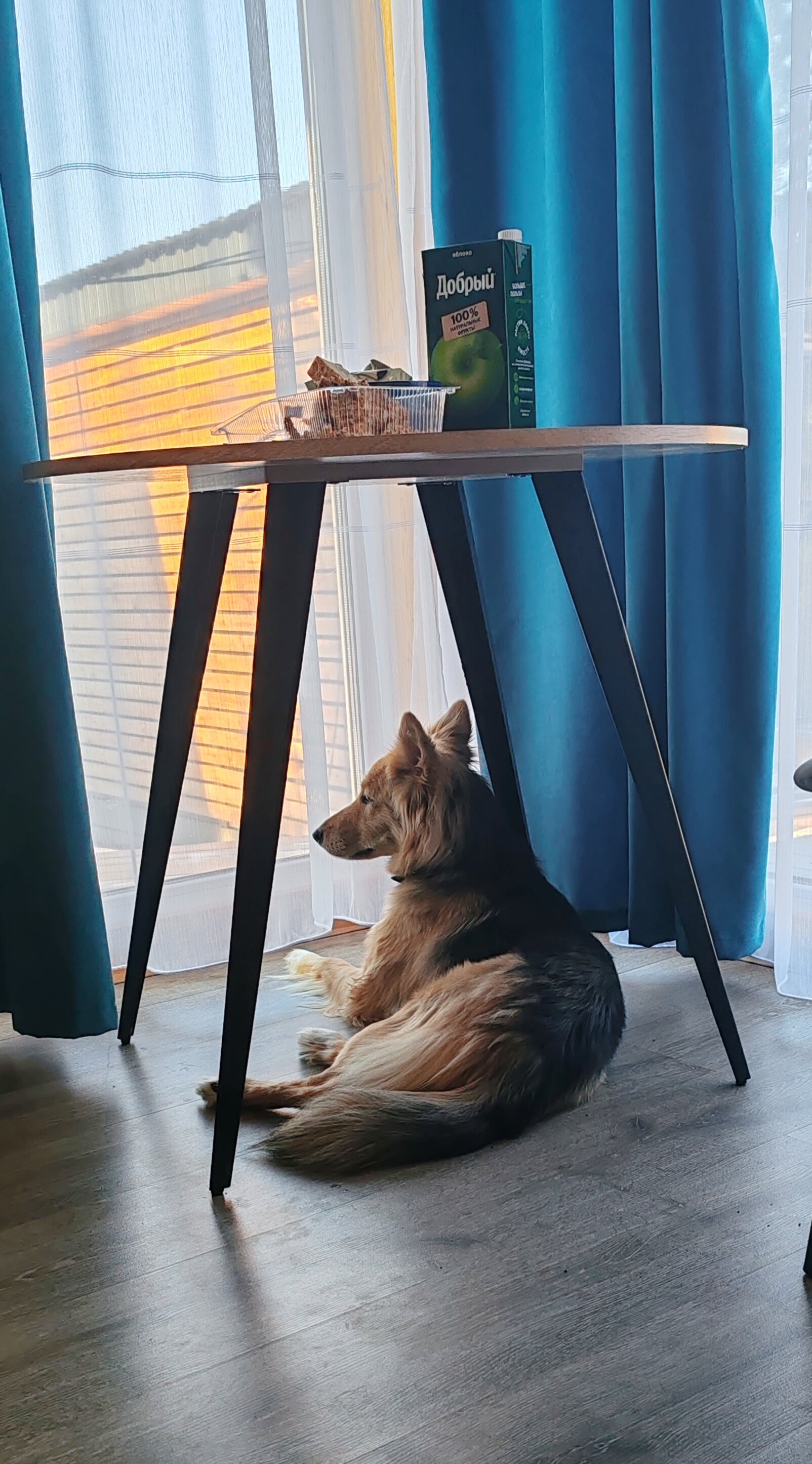 Фото Брусника