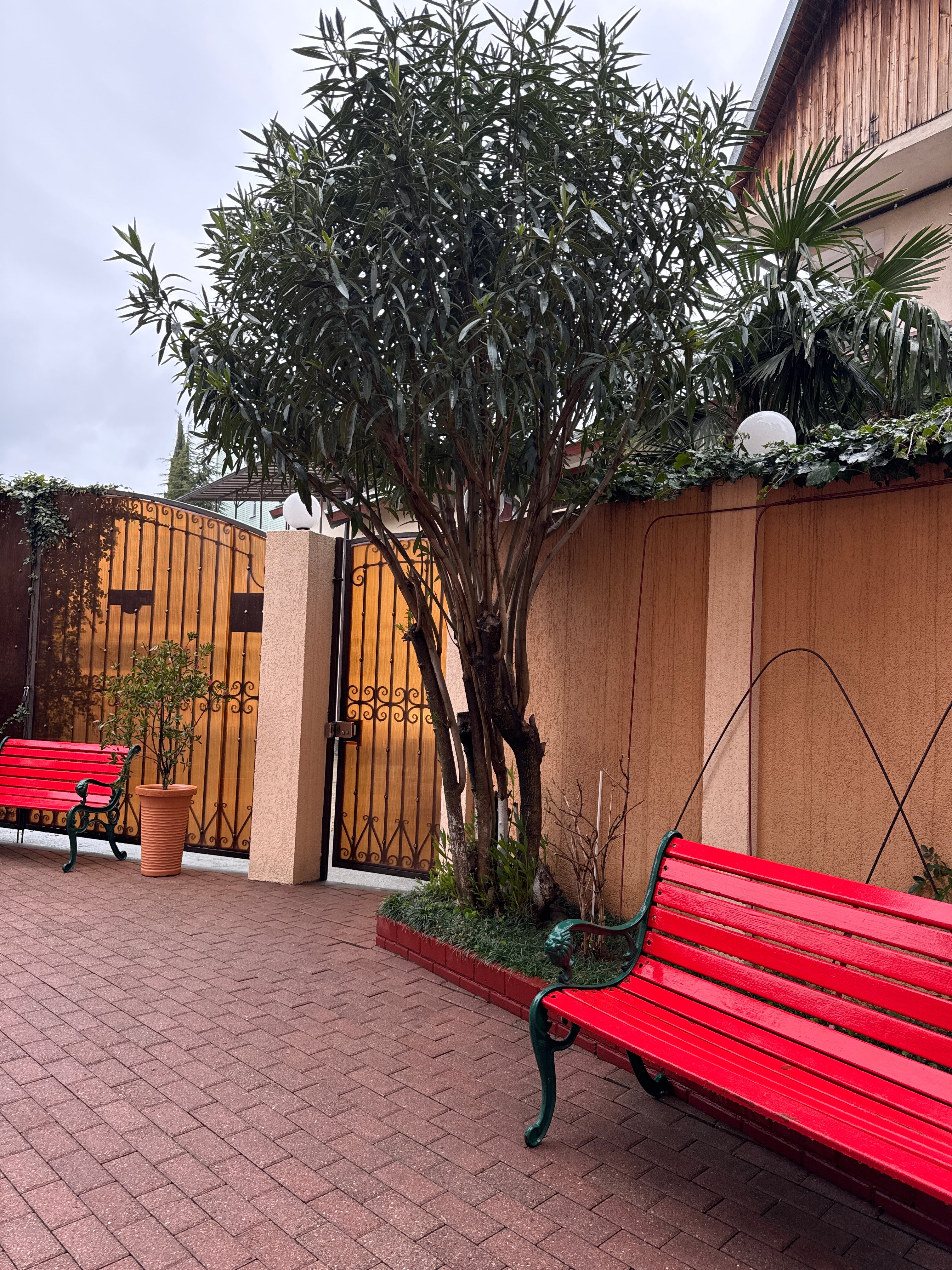 Фото Вилла Риф