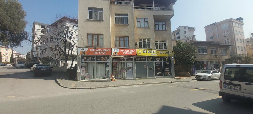 Computer repairs and services Neos Bilgisayar, Istanbul, photo