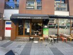 Harmonist Kafe (İstanbul, Kadikoy, Rasimpaşa Mah., Yavuztürk Sok., 36), cafe