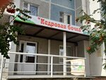 Кедровая бочка (Kamenskaya ulitsa, 86А) ، منتجعات