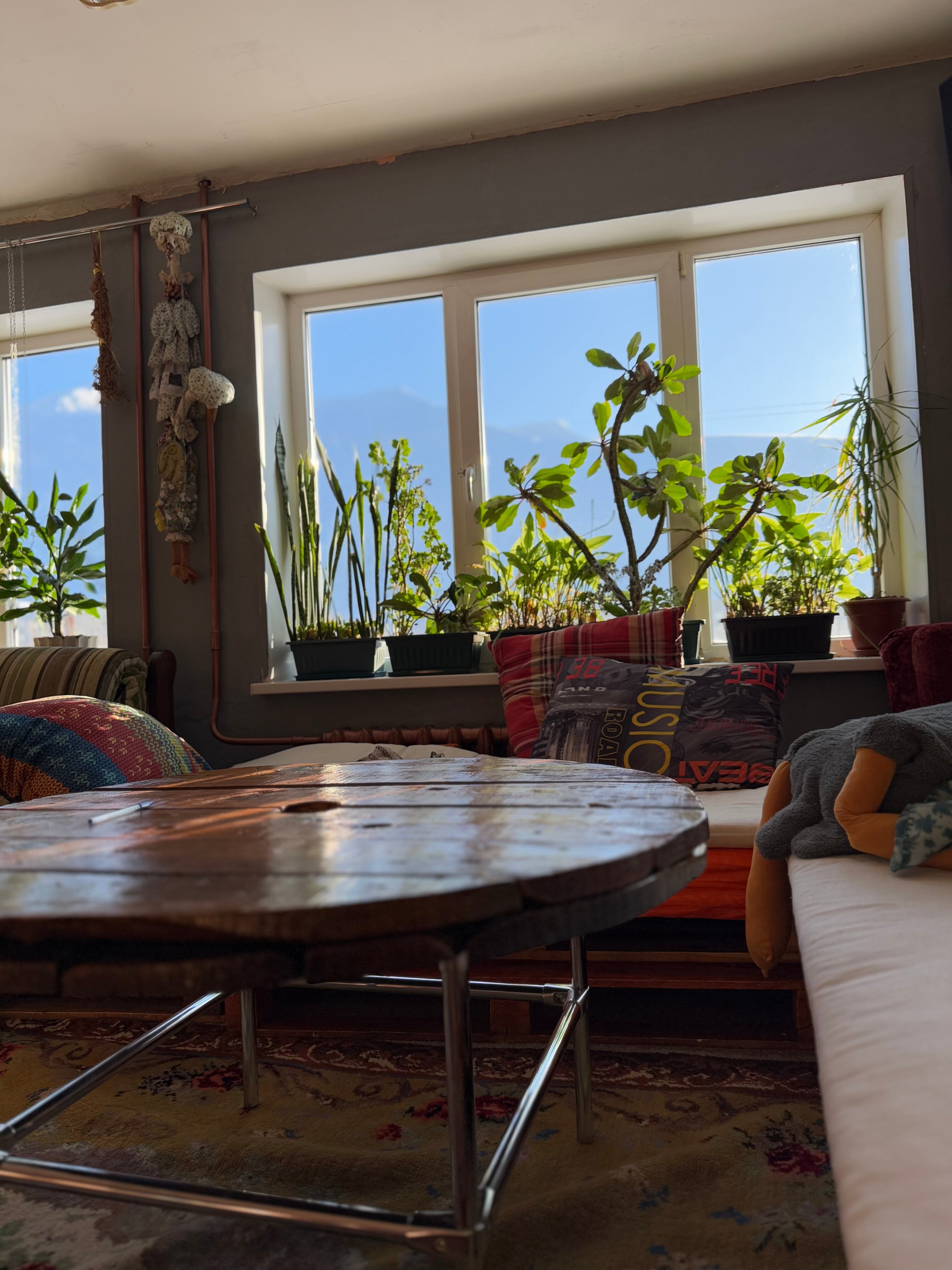 Фото Акка Книбекайзе