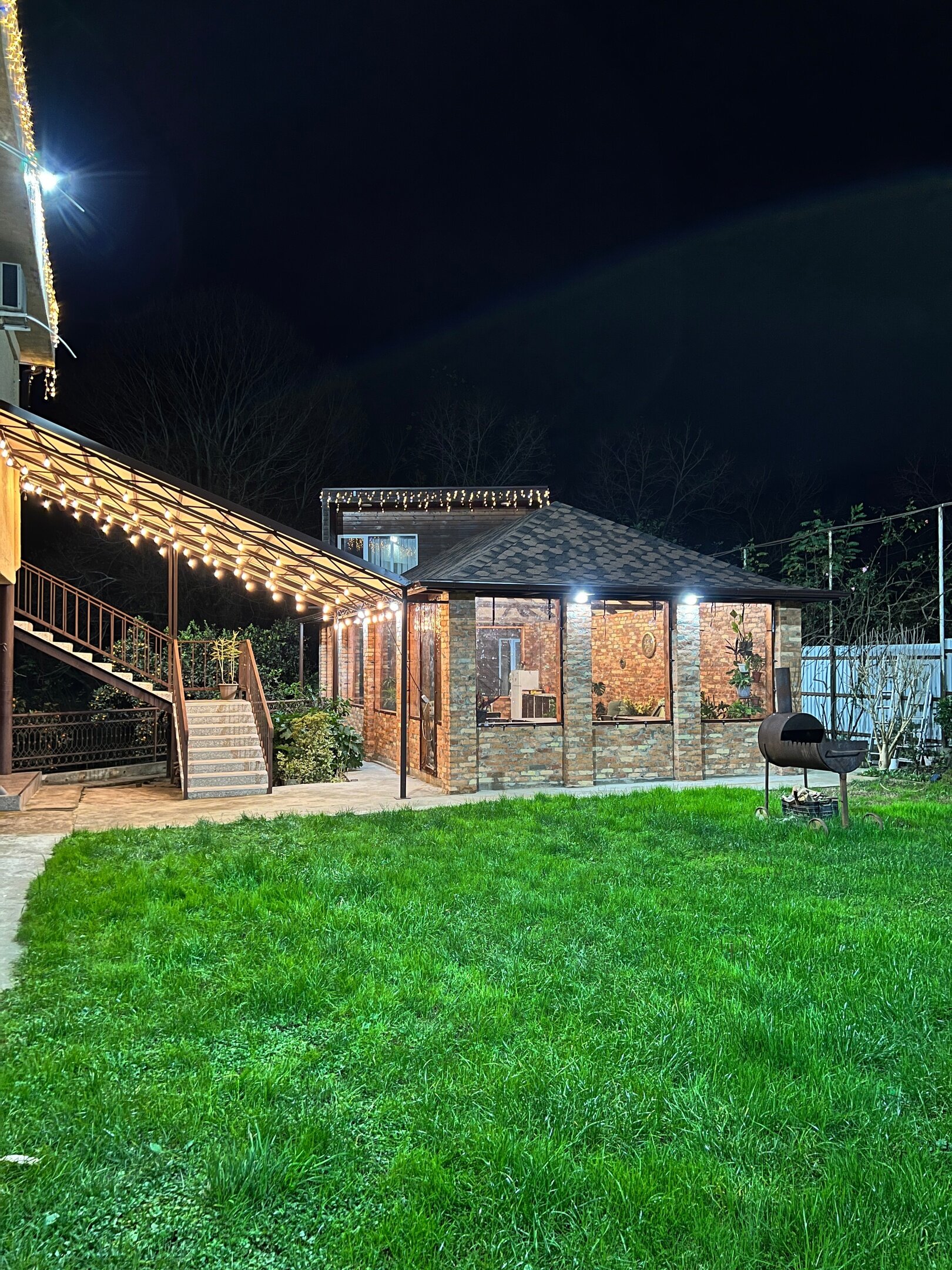 Фото Эвкалипт