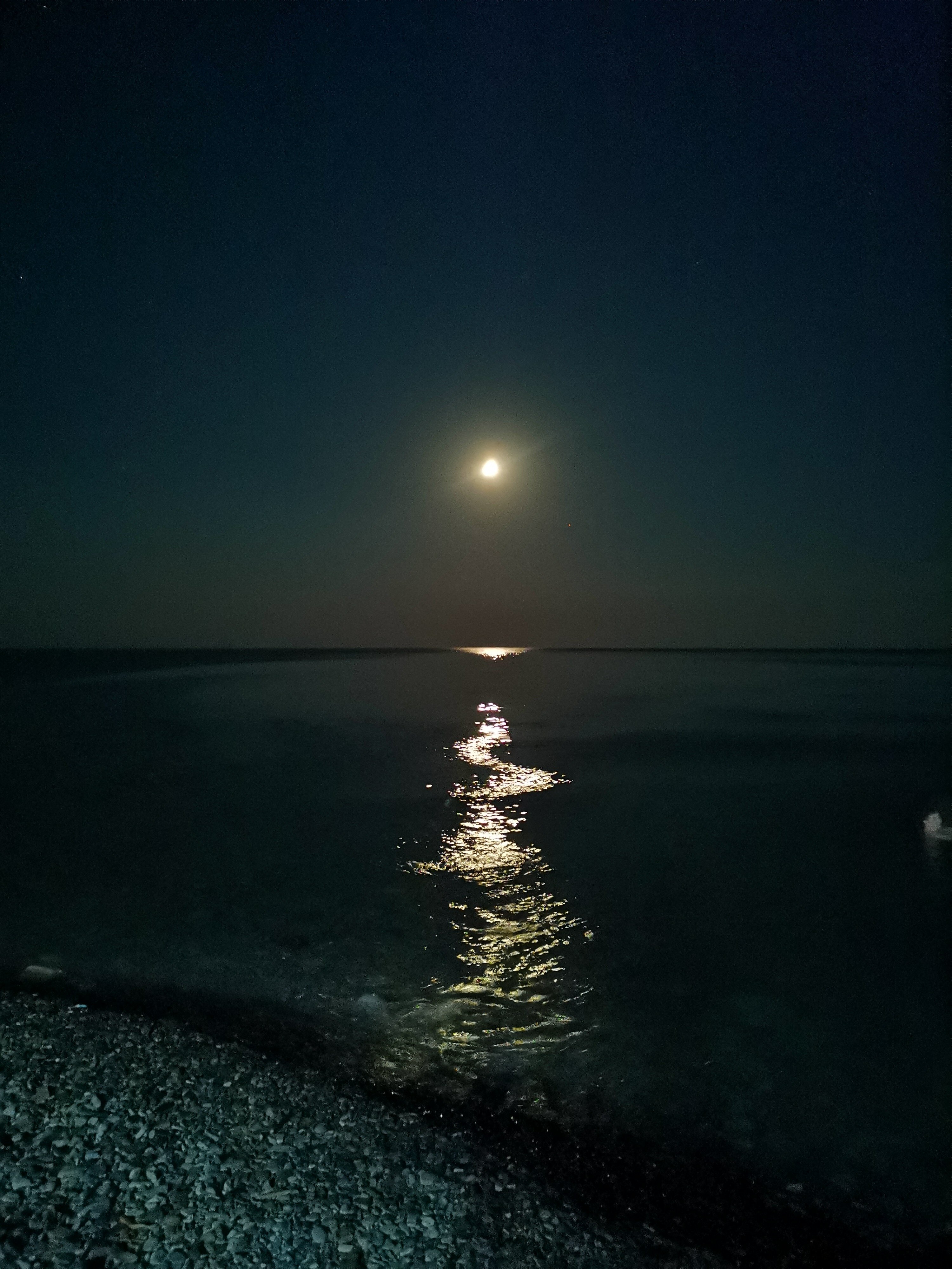 Фото Маргарита