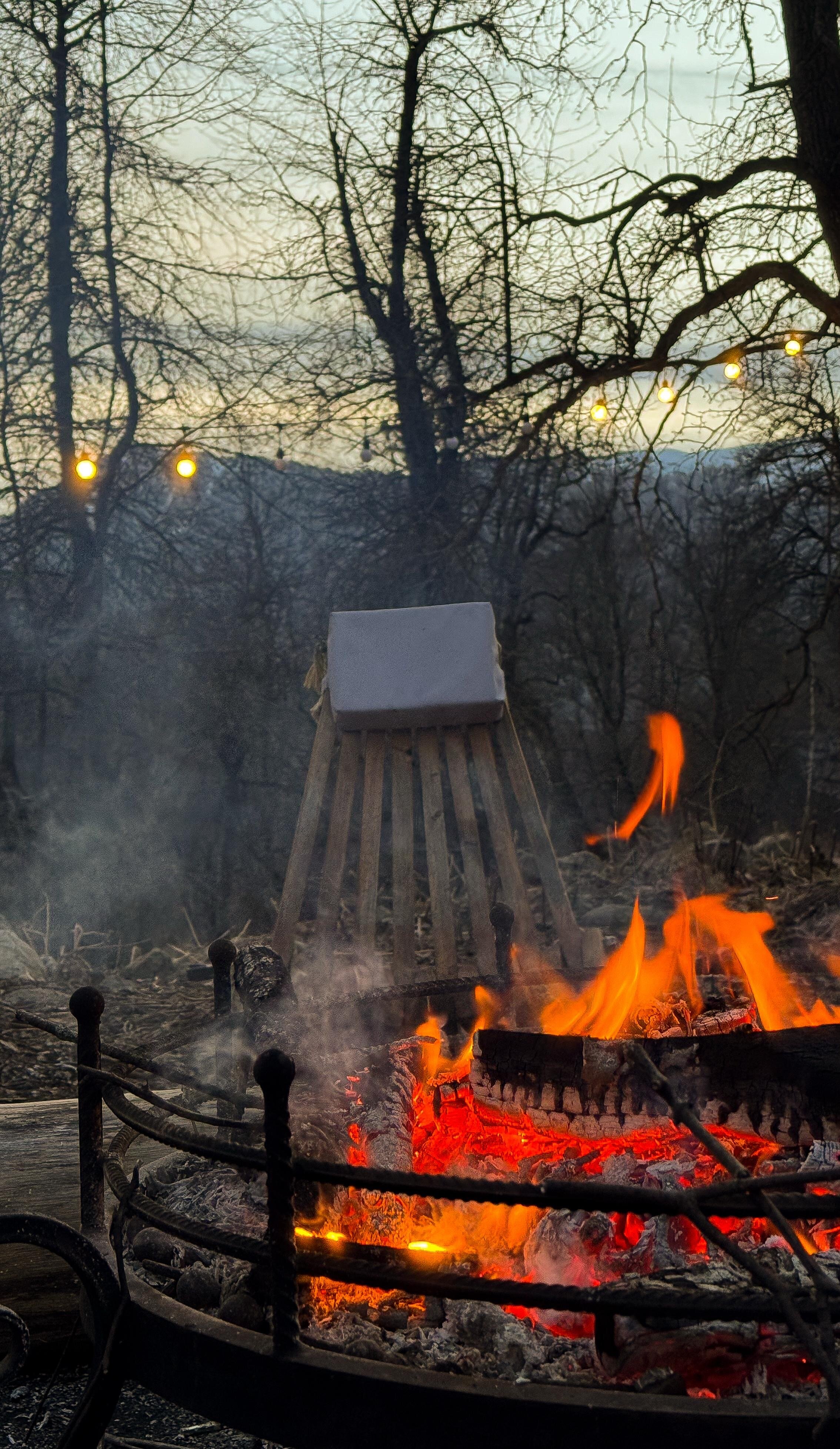 Фото Тишина