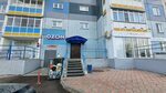 Апартаменты Просторная 2х Комнатная на Алексеева 115 (Alekseeva Street, 115), hotel