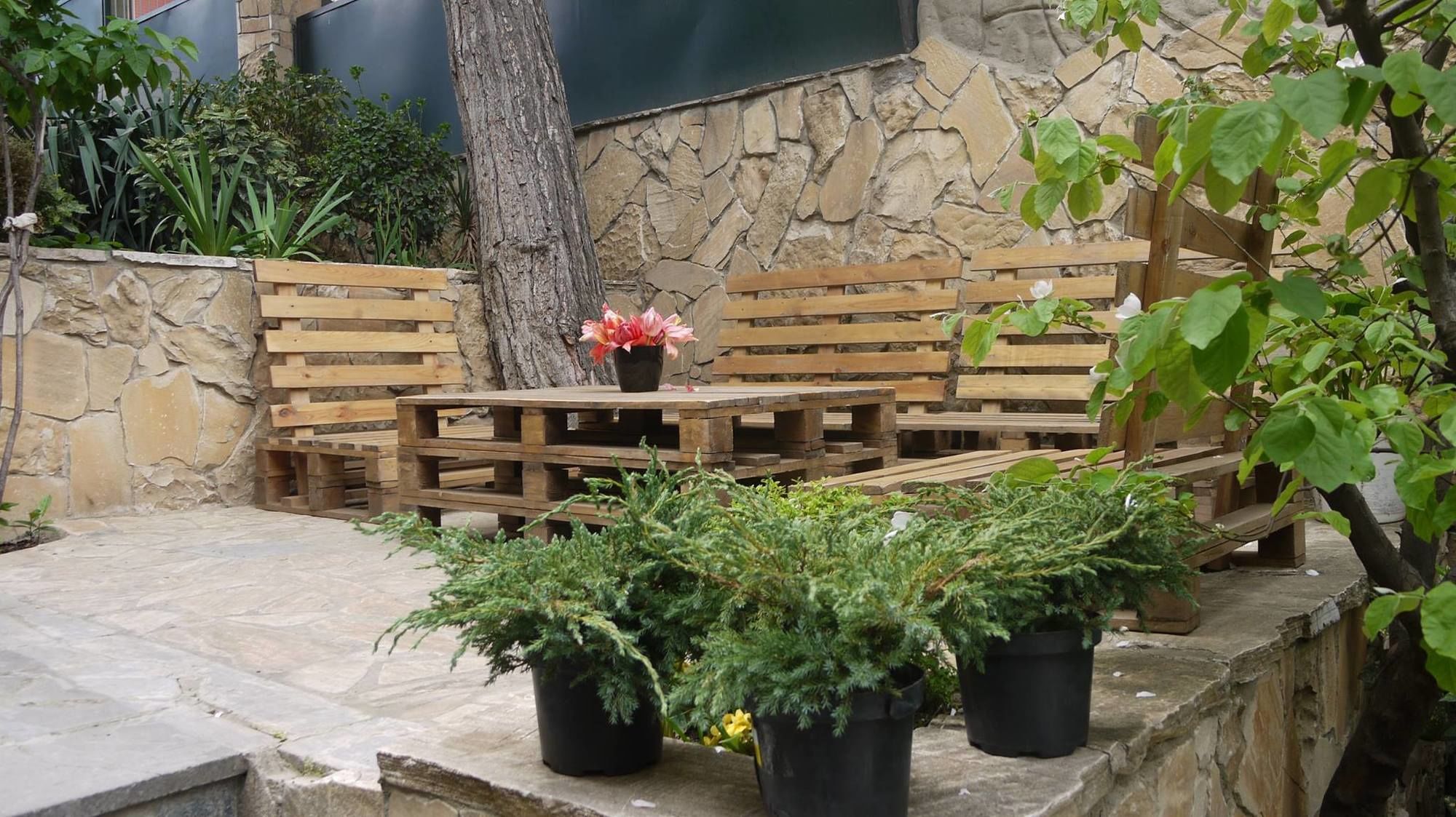 Фото Отель Сани